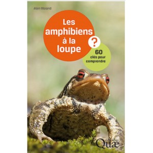 Les amphibiens à la loupe