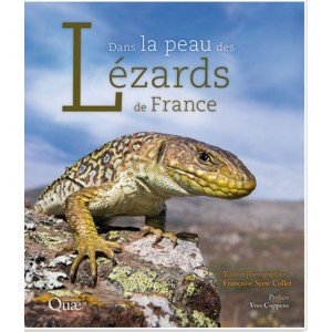 Dans la peau des lézards de France