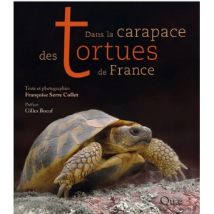 Dans la carapace des tortues de France
