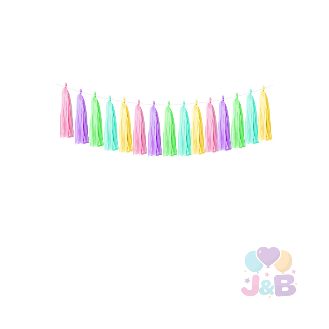 GUIRNALDA TASSEL 2.5M X1 UNI