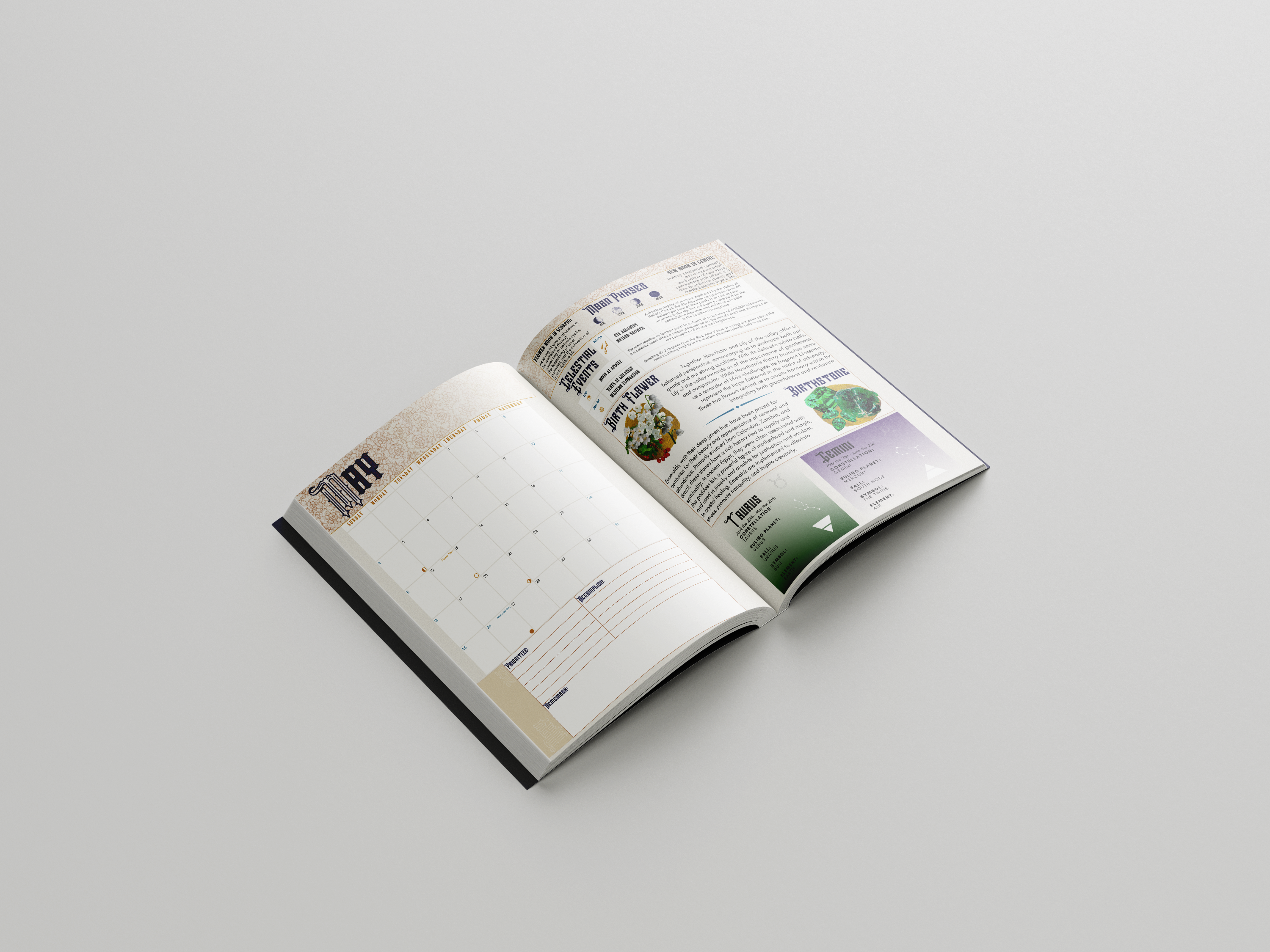 Mindful Alignment Agenda 2026