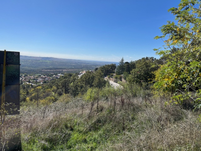 Una Parcela En Carretera De Canencia De 458m 