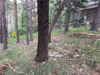 Parcela Urbana En Urbanización Cerro De Los Santos De 2525m