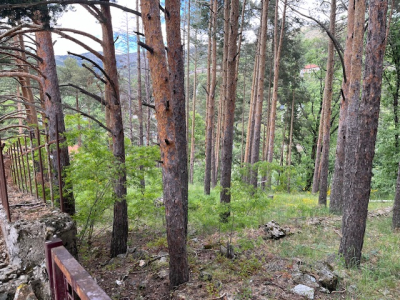 Parcela Urbana En Urbanización Cerro De Los Santos De 2525m
