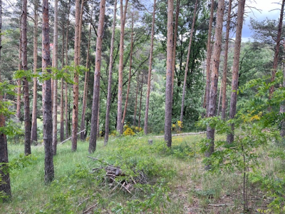 Parcela Urbana En Urbanización Cerro De Los Santos De 2525m