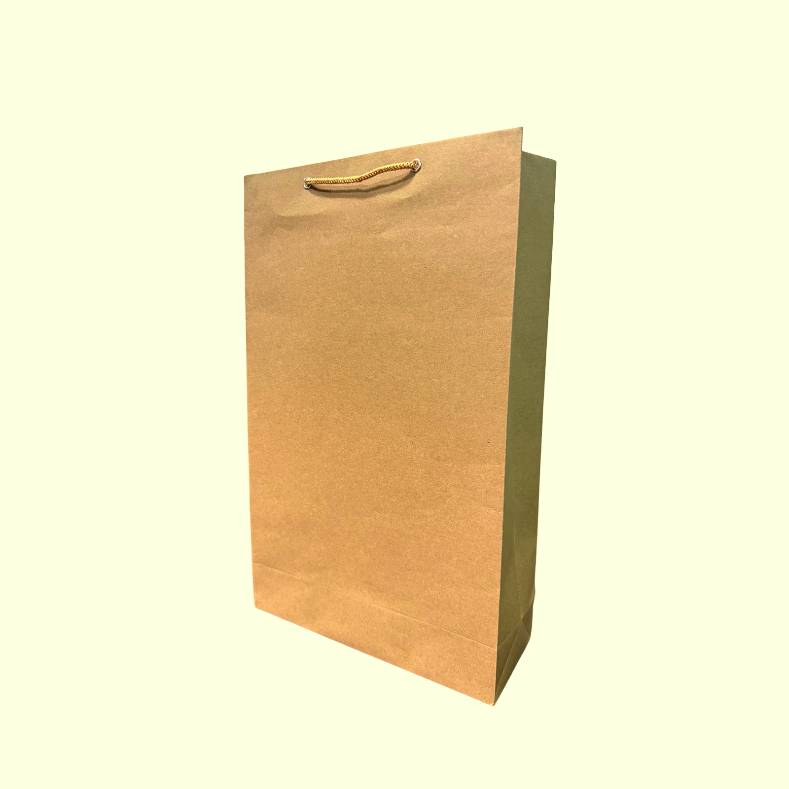 Plain Bag