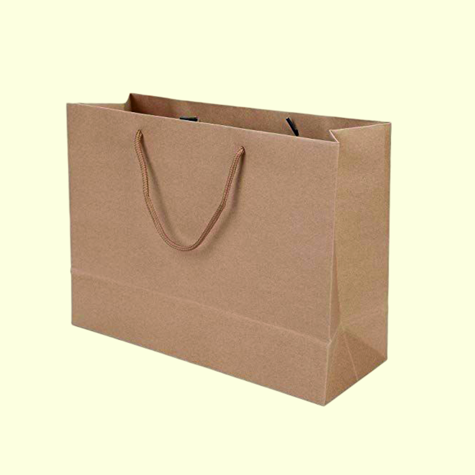 Plain Bag