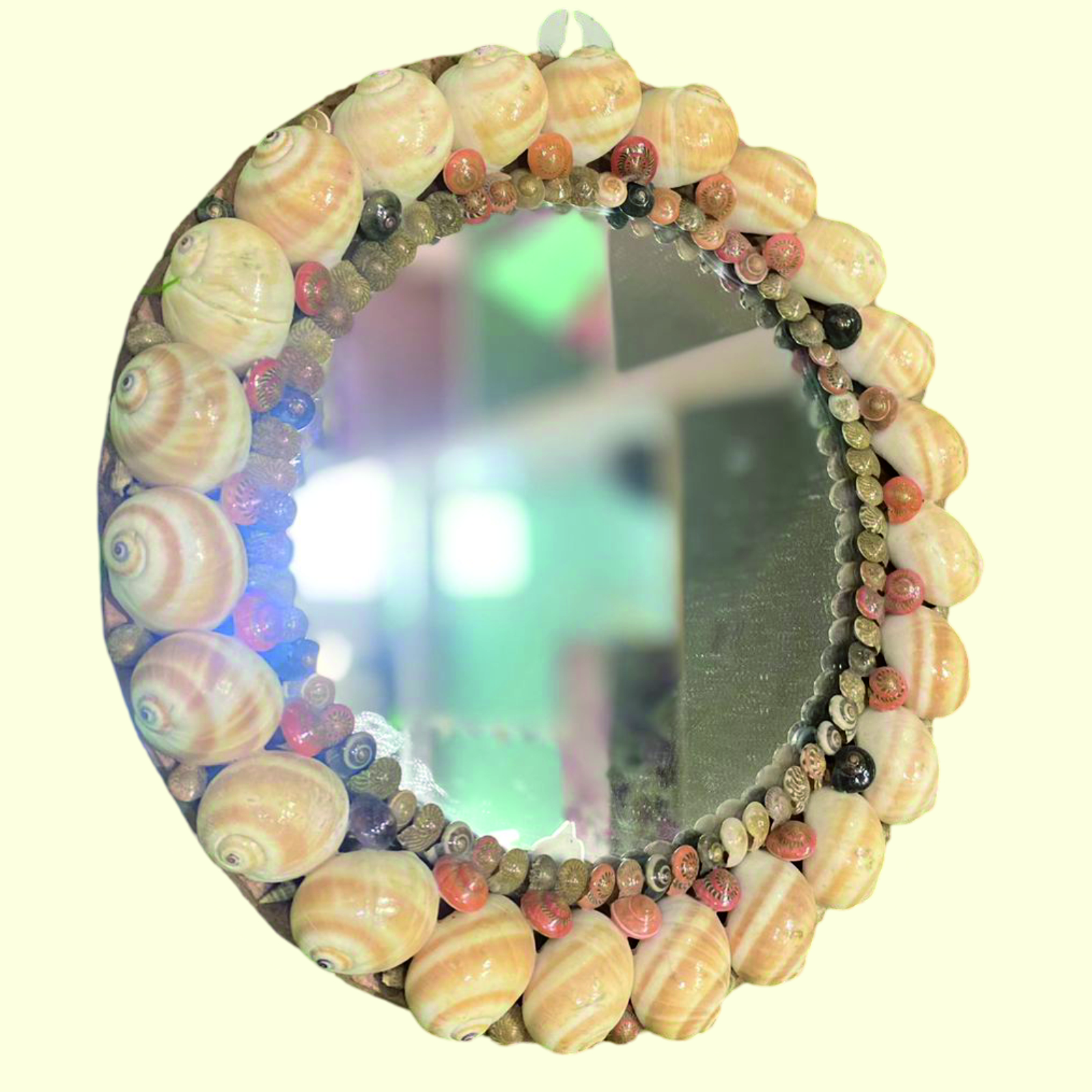 Sea Shell Mirror