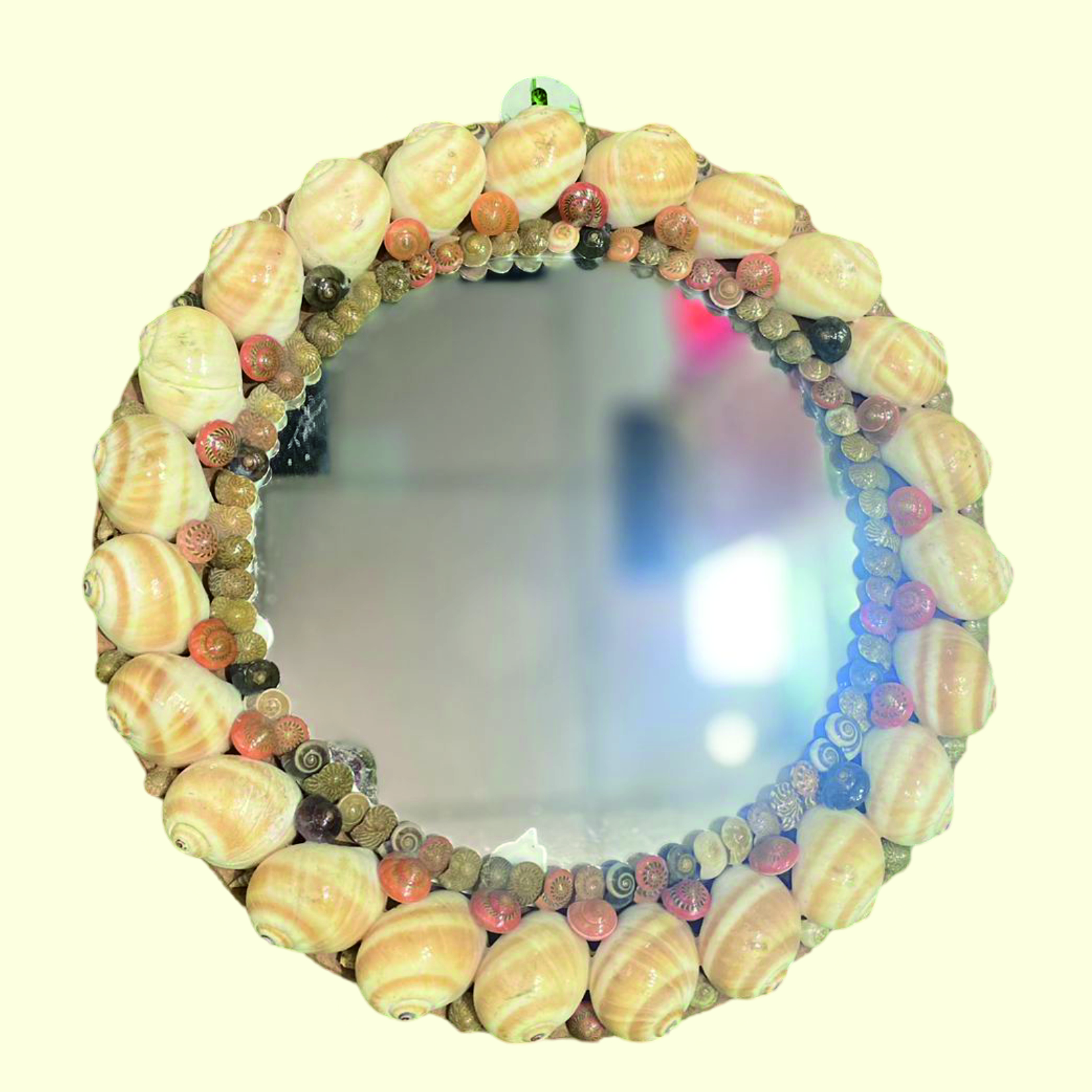 Sea Shell Mirror