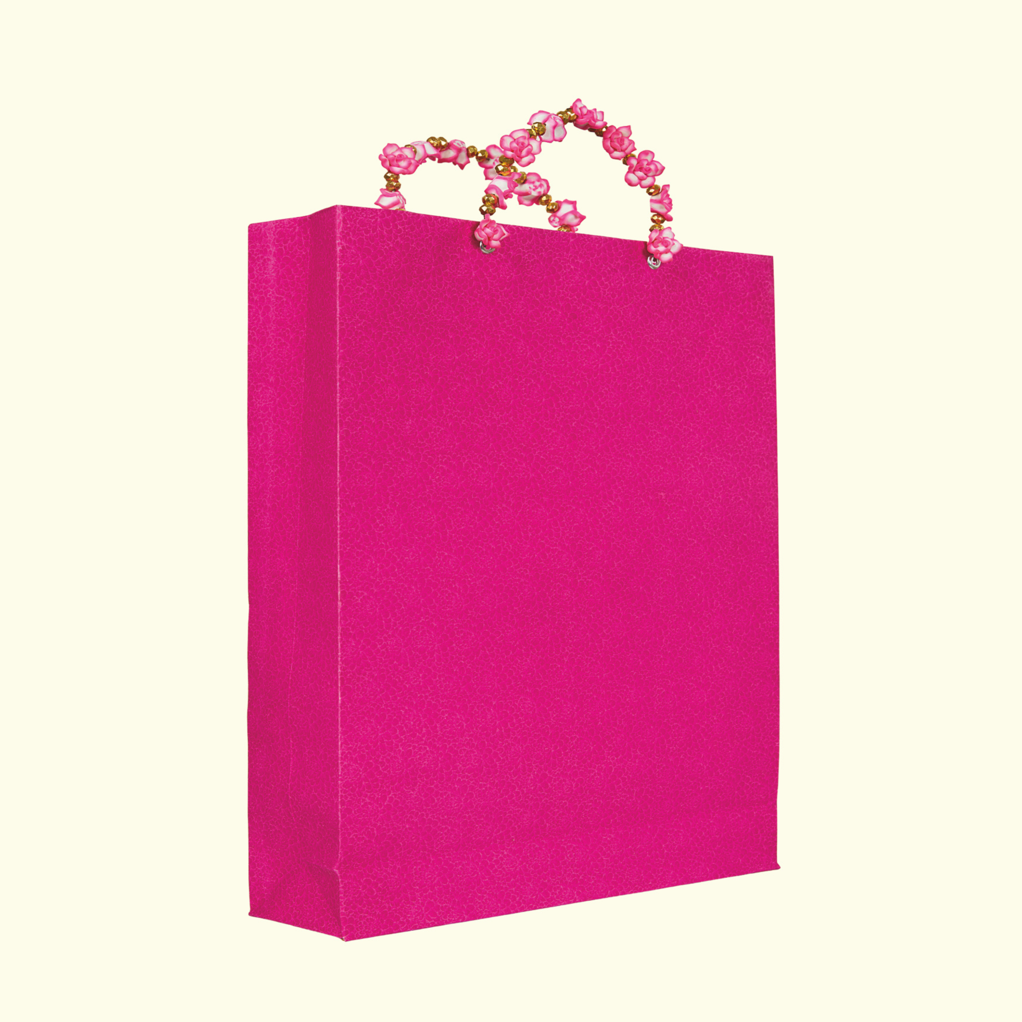 Luxury Handle Bag