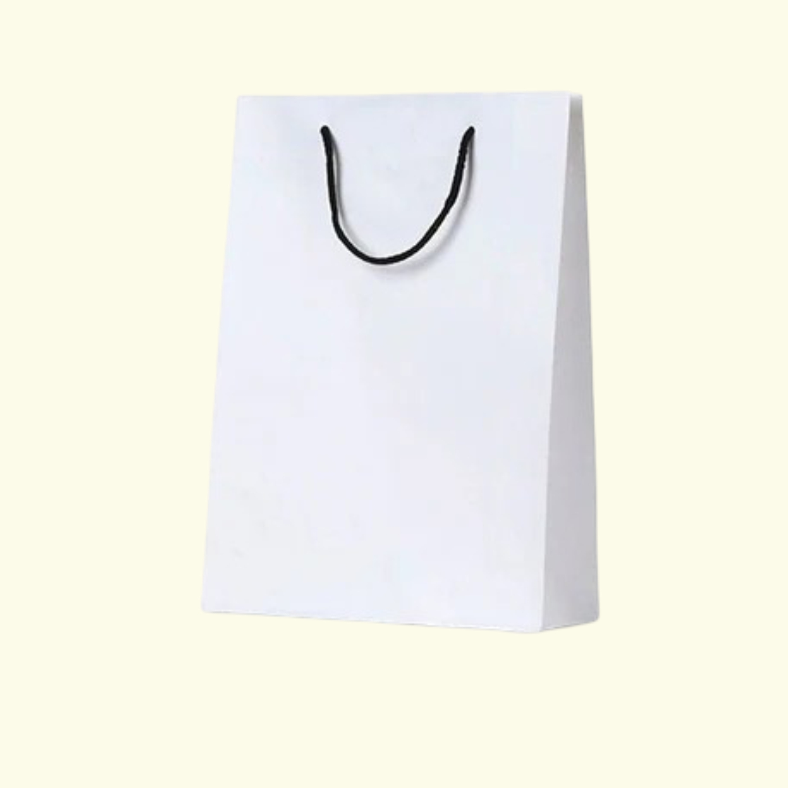 Plain Bag