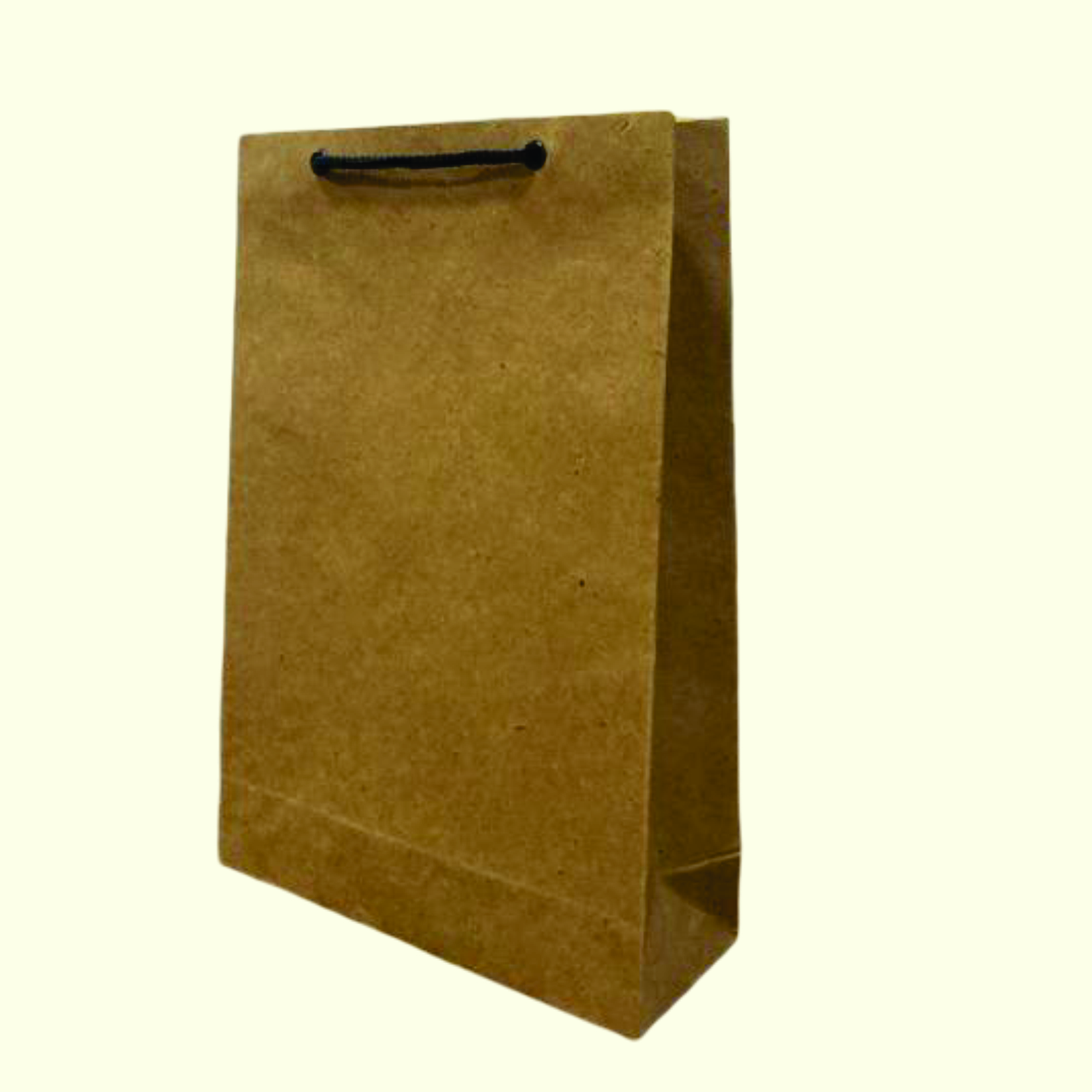 Plain Bag