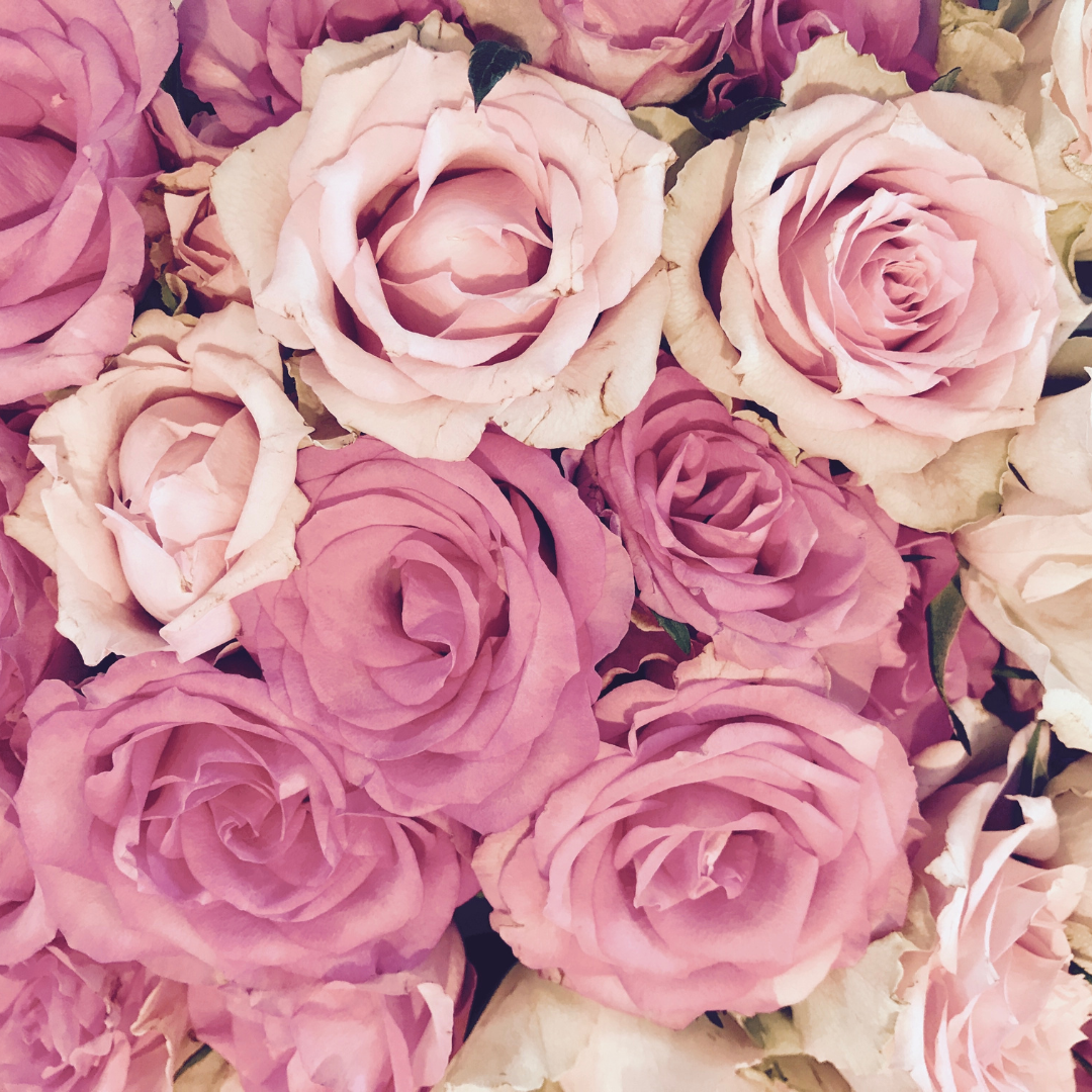 Accompagnement périnatal