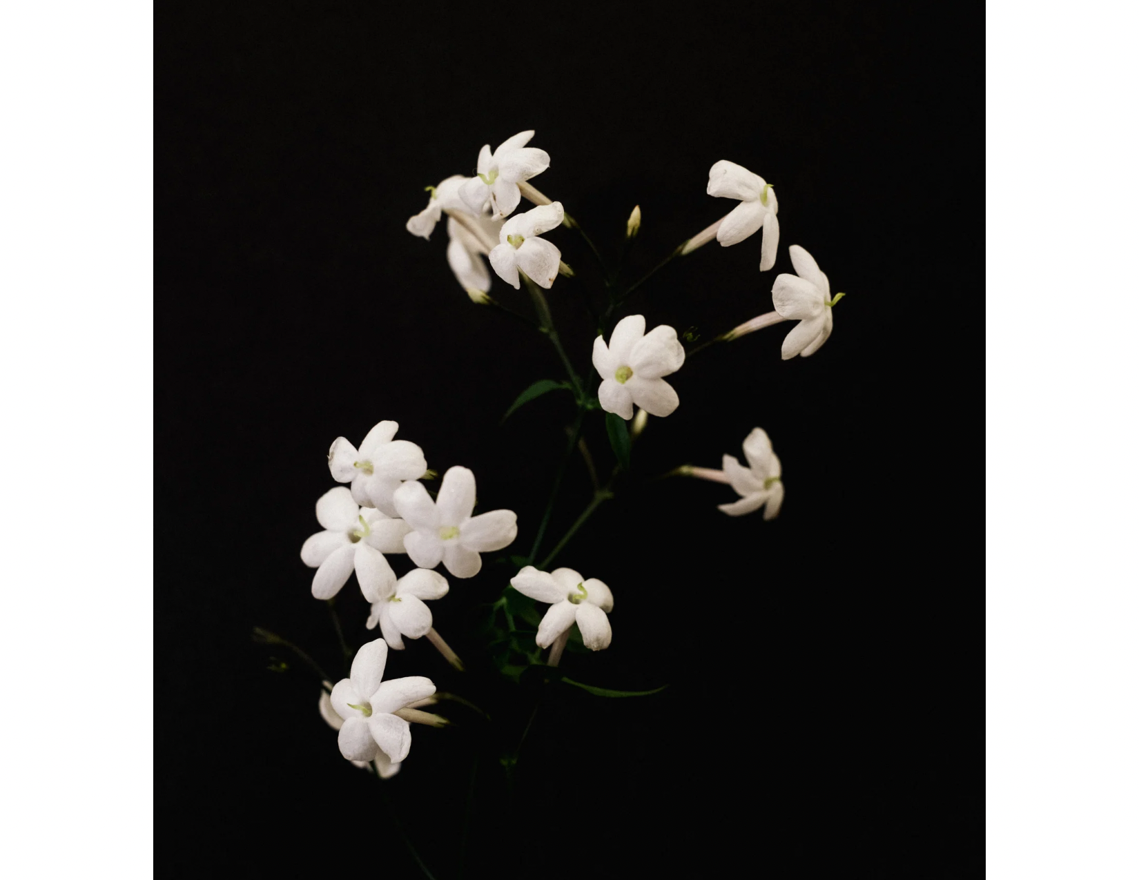 Accompagner le deuil périnatal