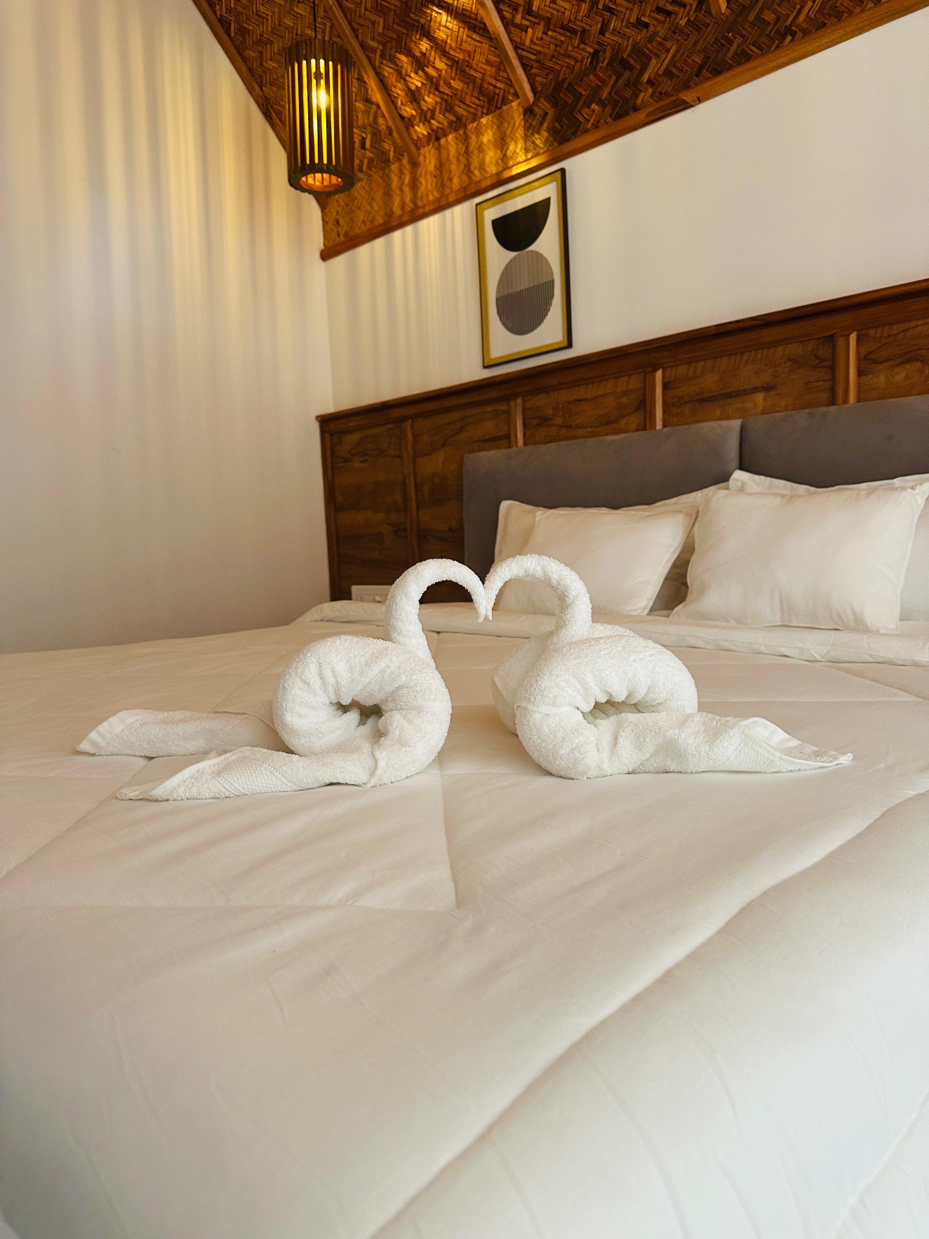 A/C Premium Eco Rooms