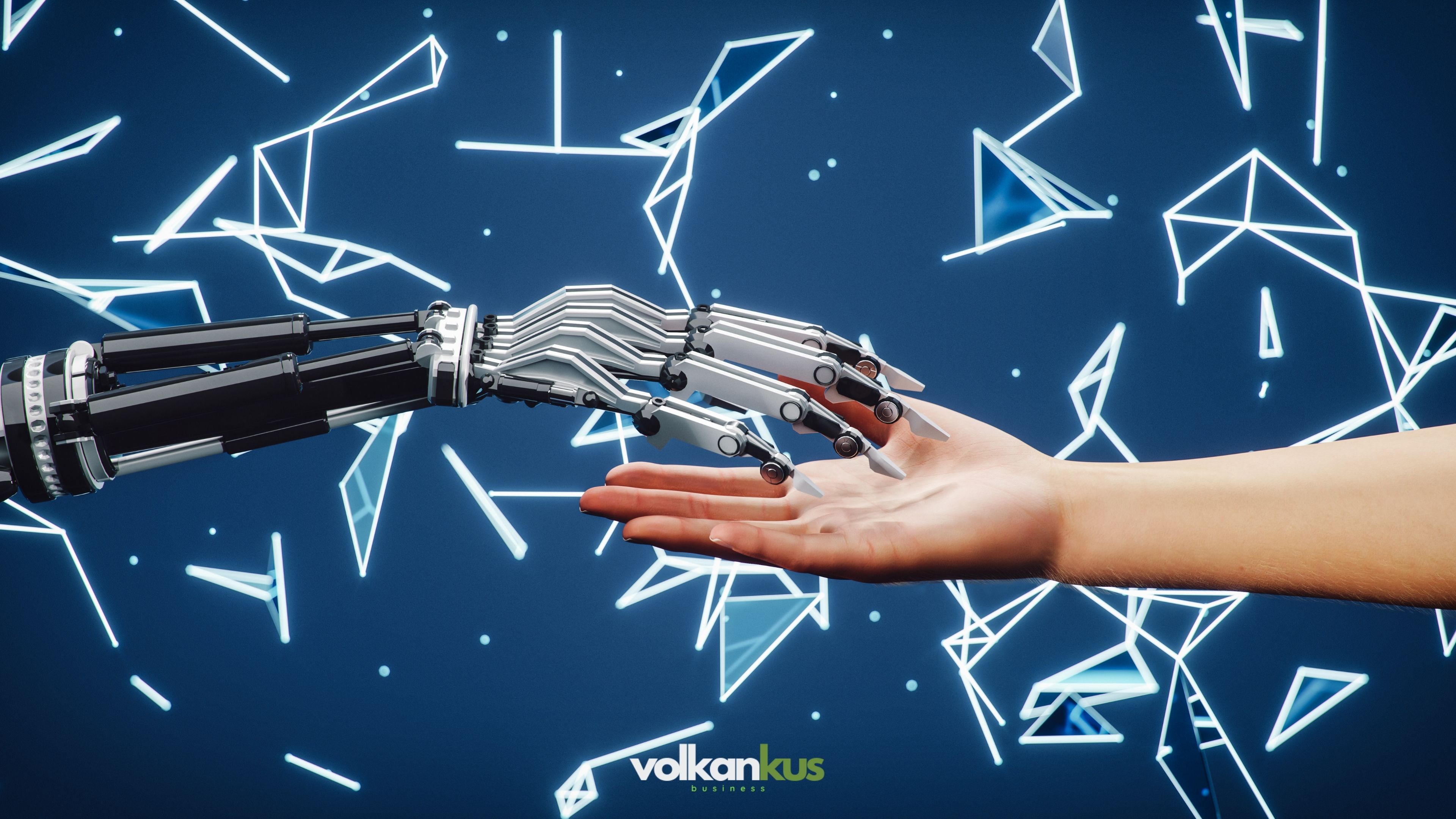 Solutions Yapay Zeka Programı Geliştirme Yönetimi
