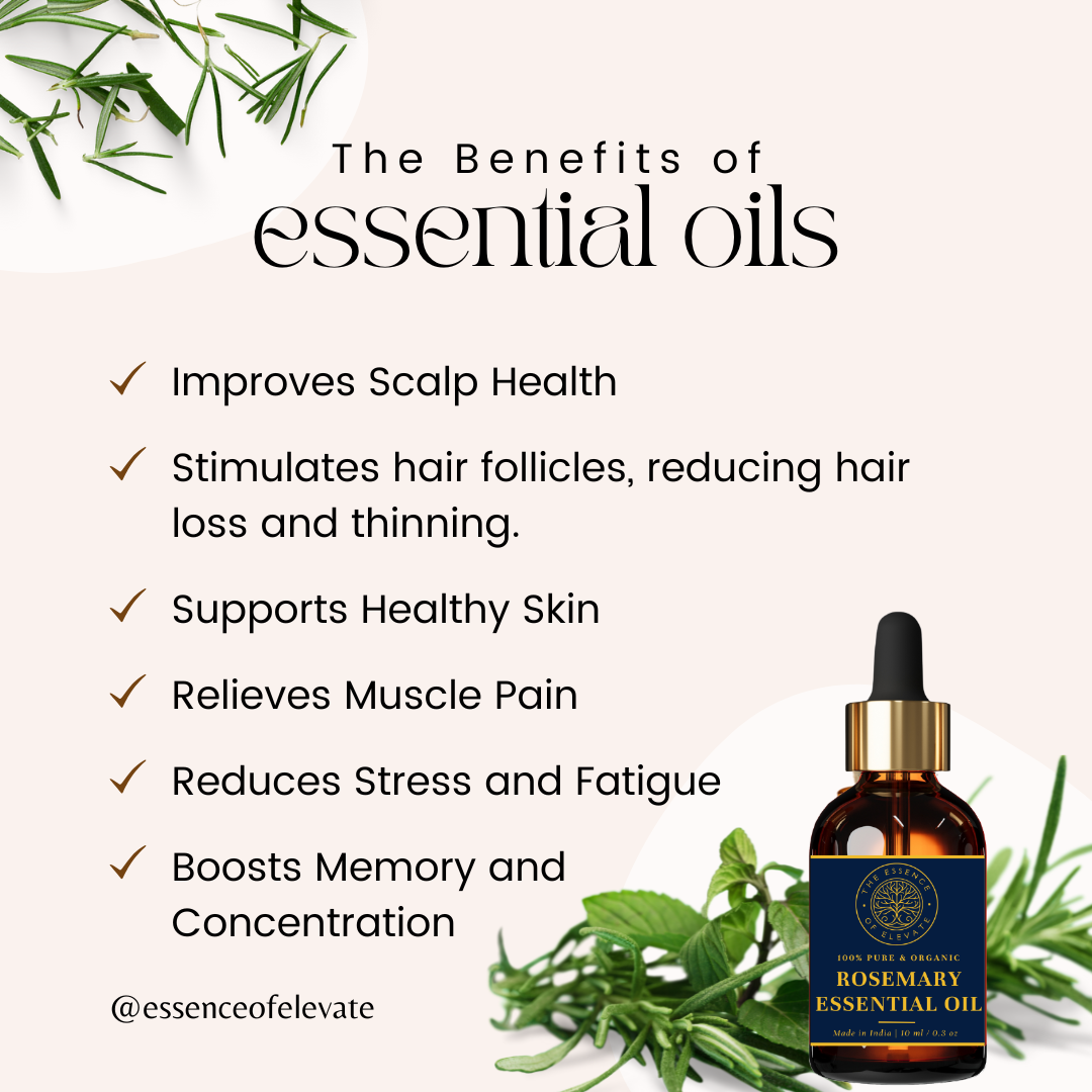 The Essence of Elevate Rosemary Essential Oil