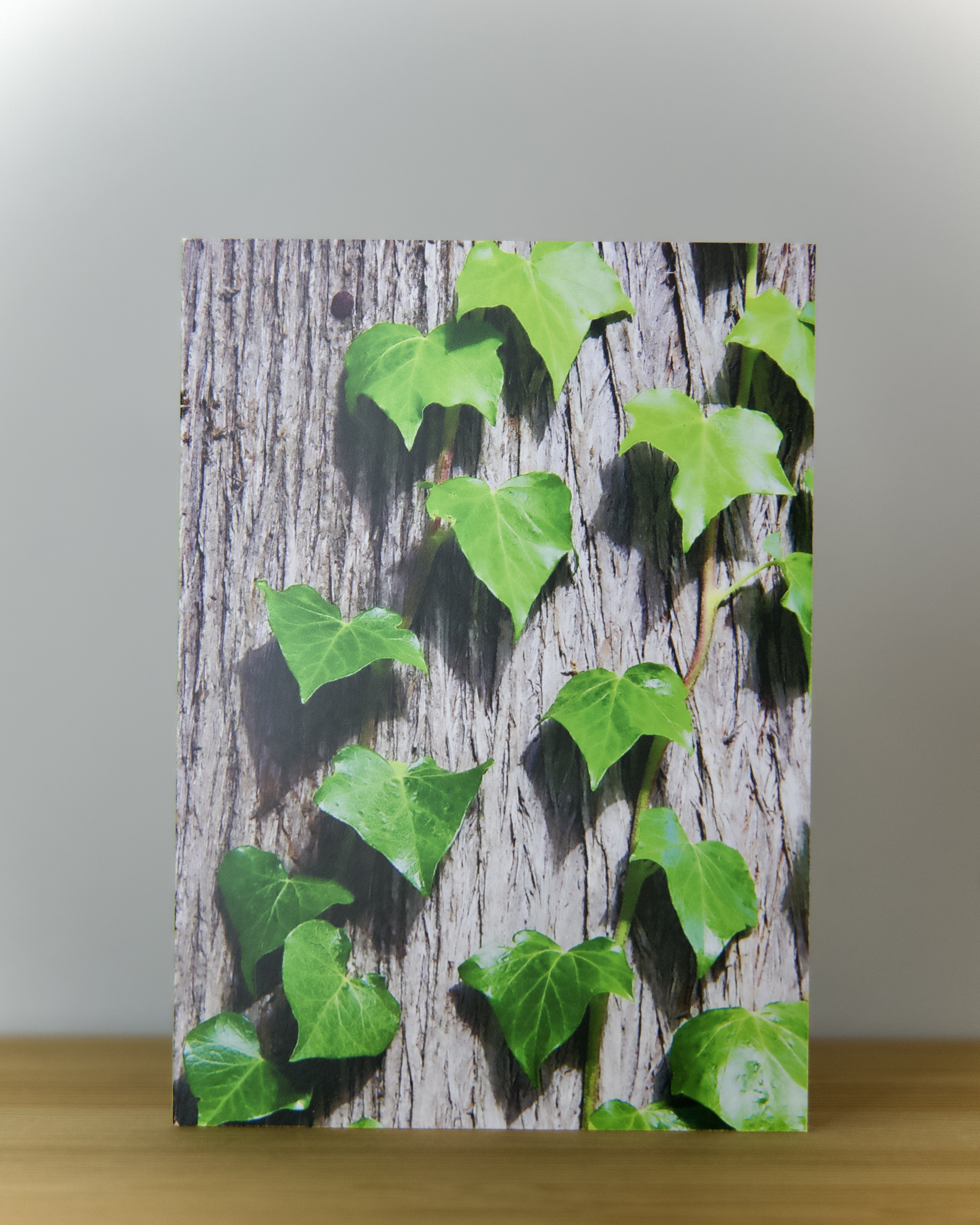 Carte Artistique "Lierre"