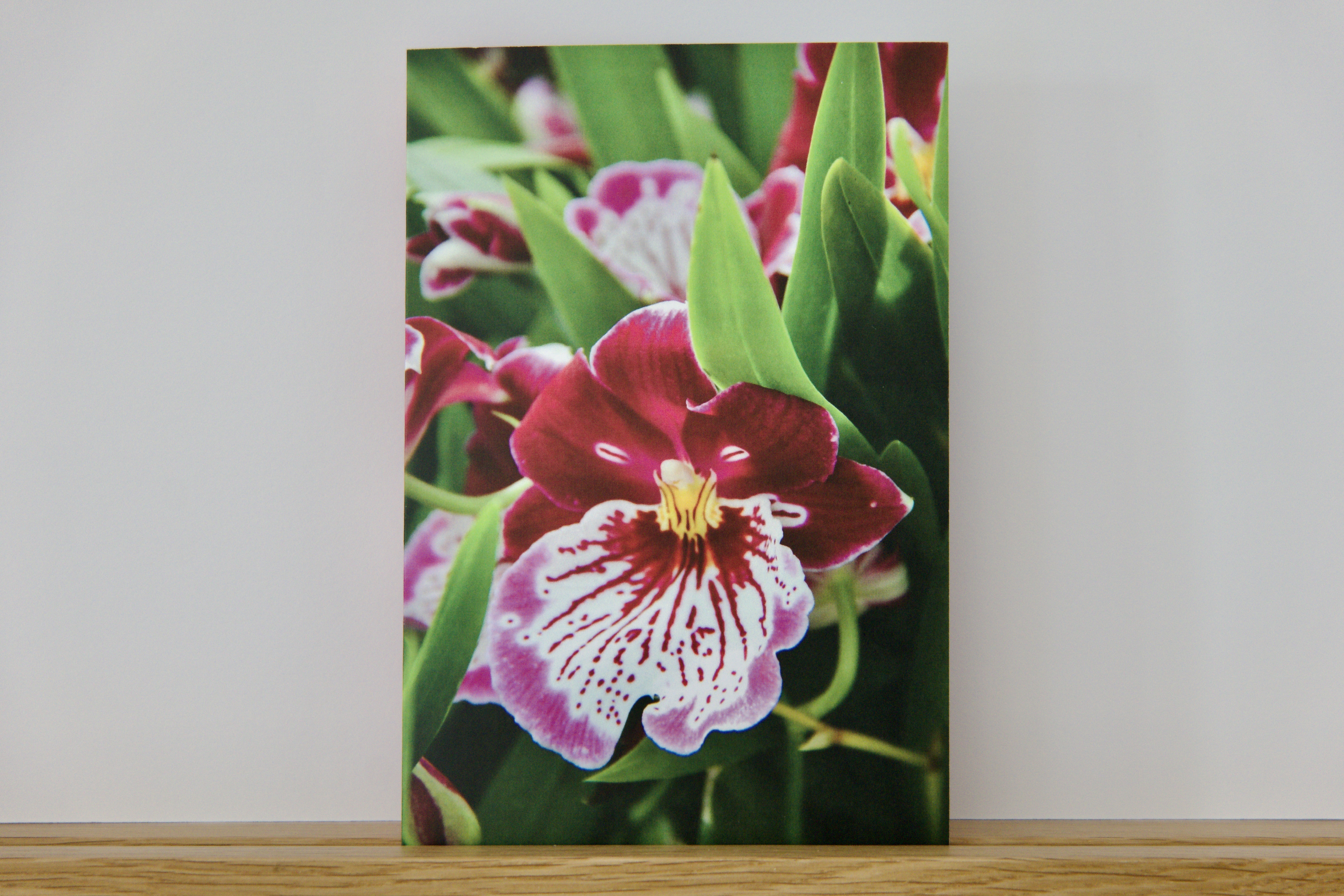 Carte Artistique "Bella Orchidea"