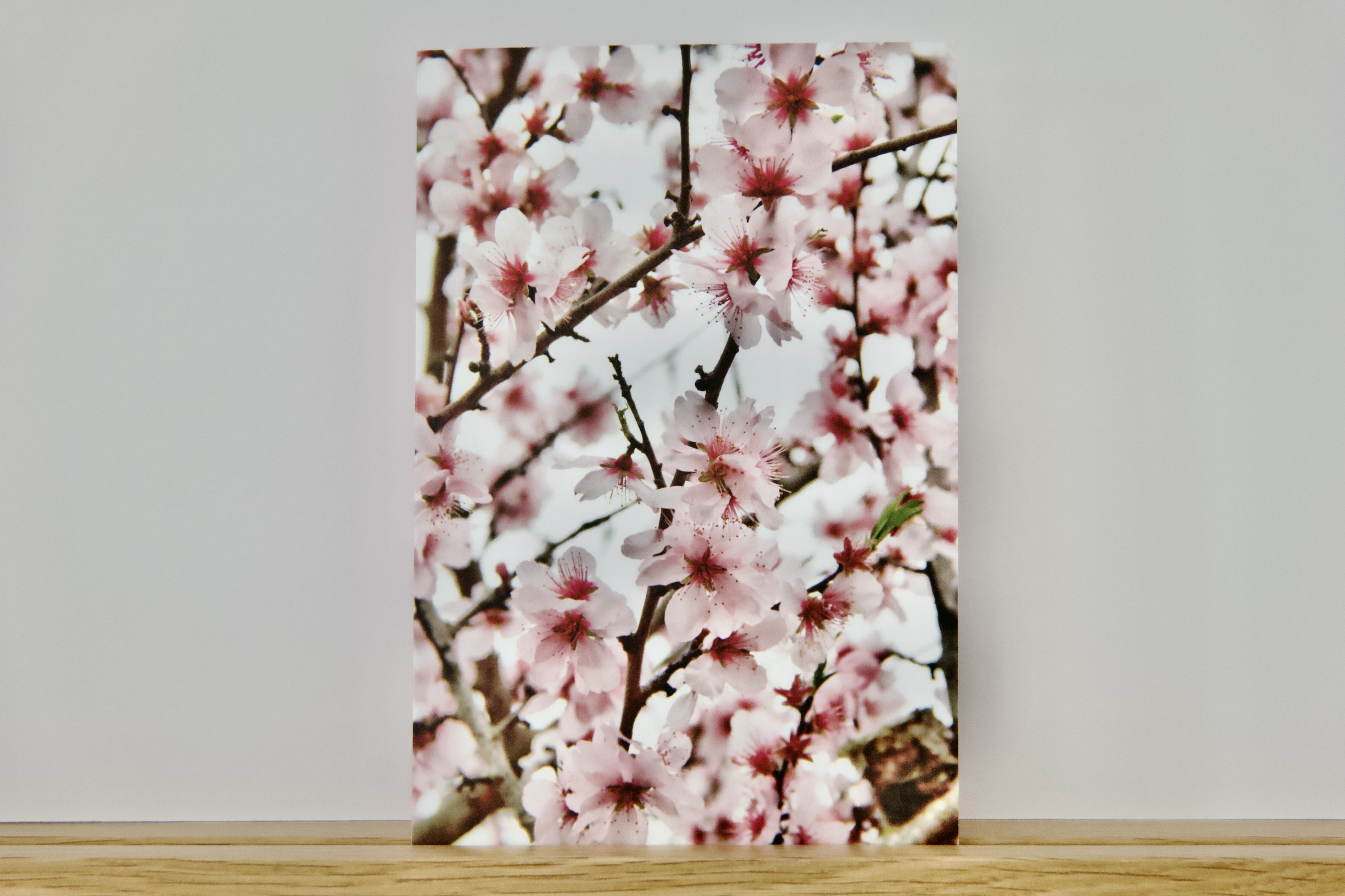 Carte Artistique "Renouveau"