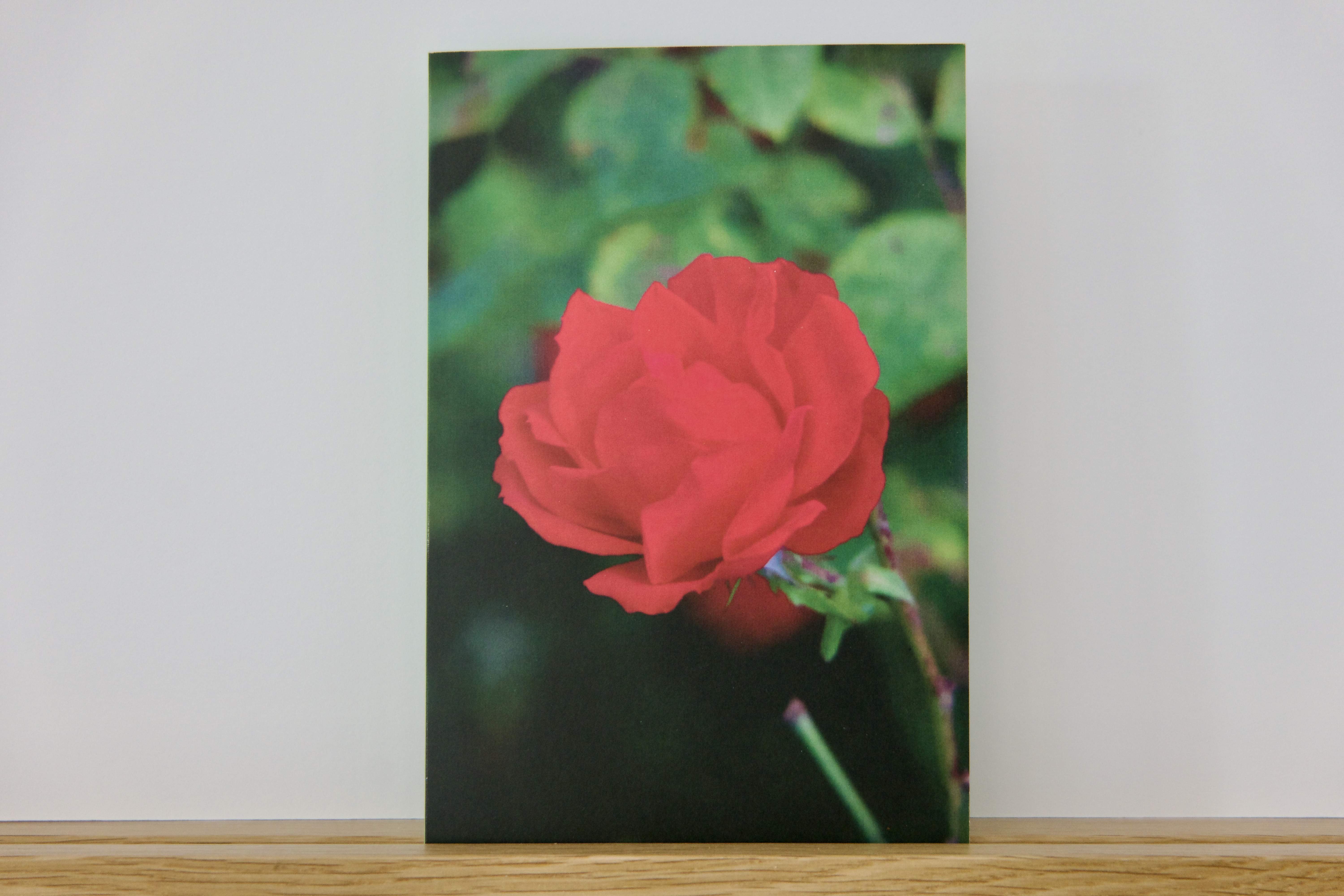 Carte Artistique "Rouge Flamboyant"