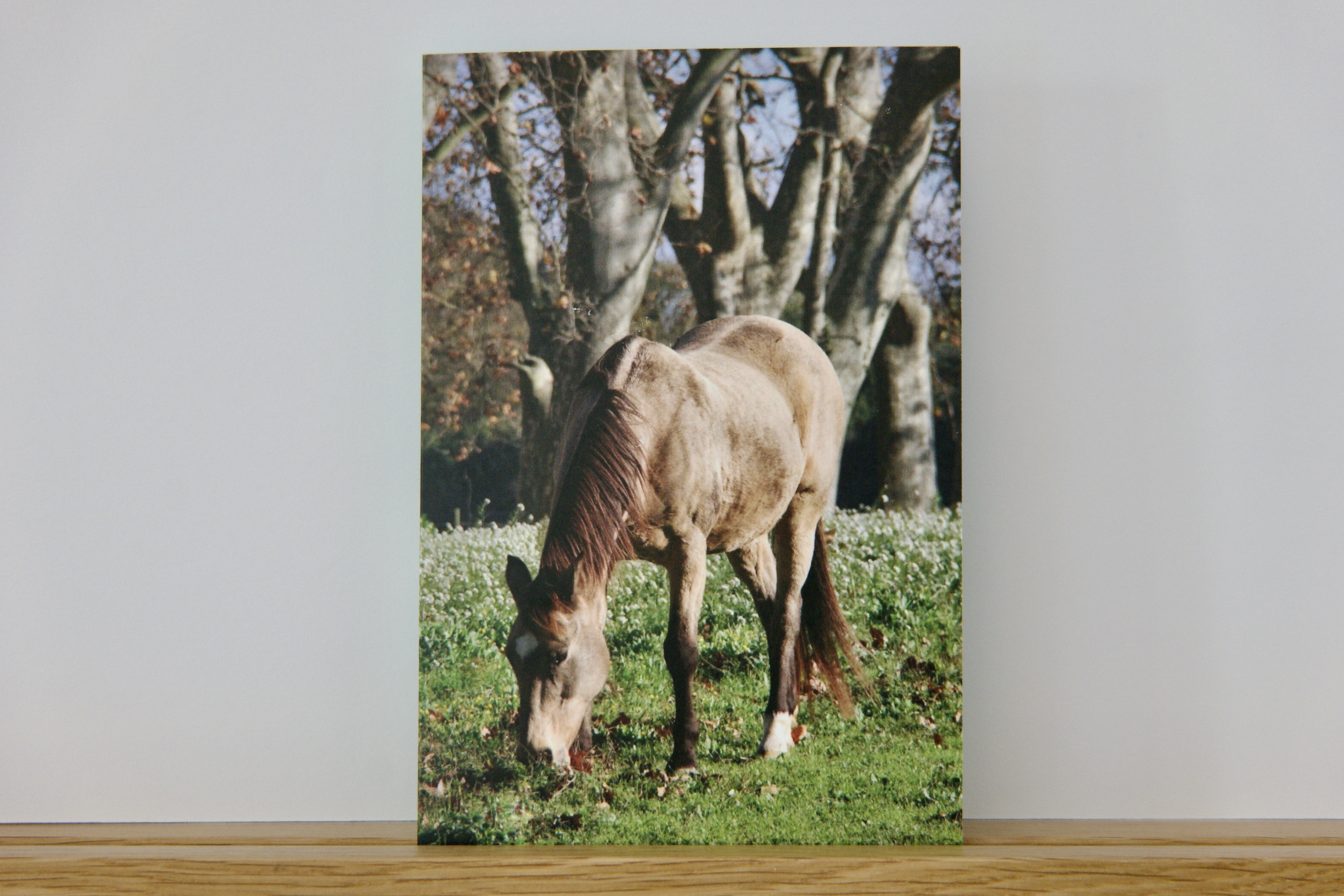 Carte Artistique "Altivo"