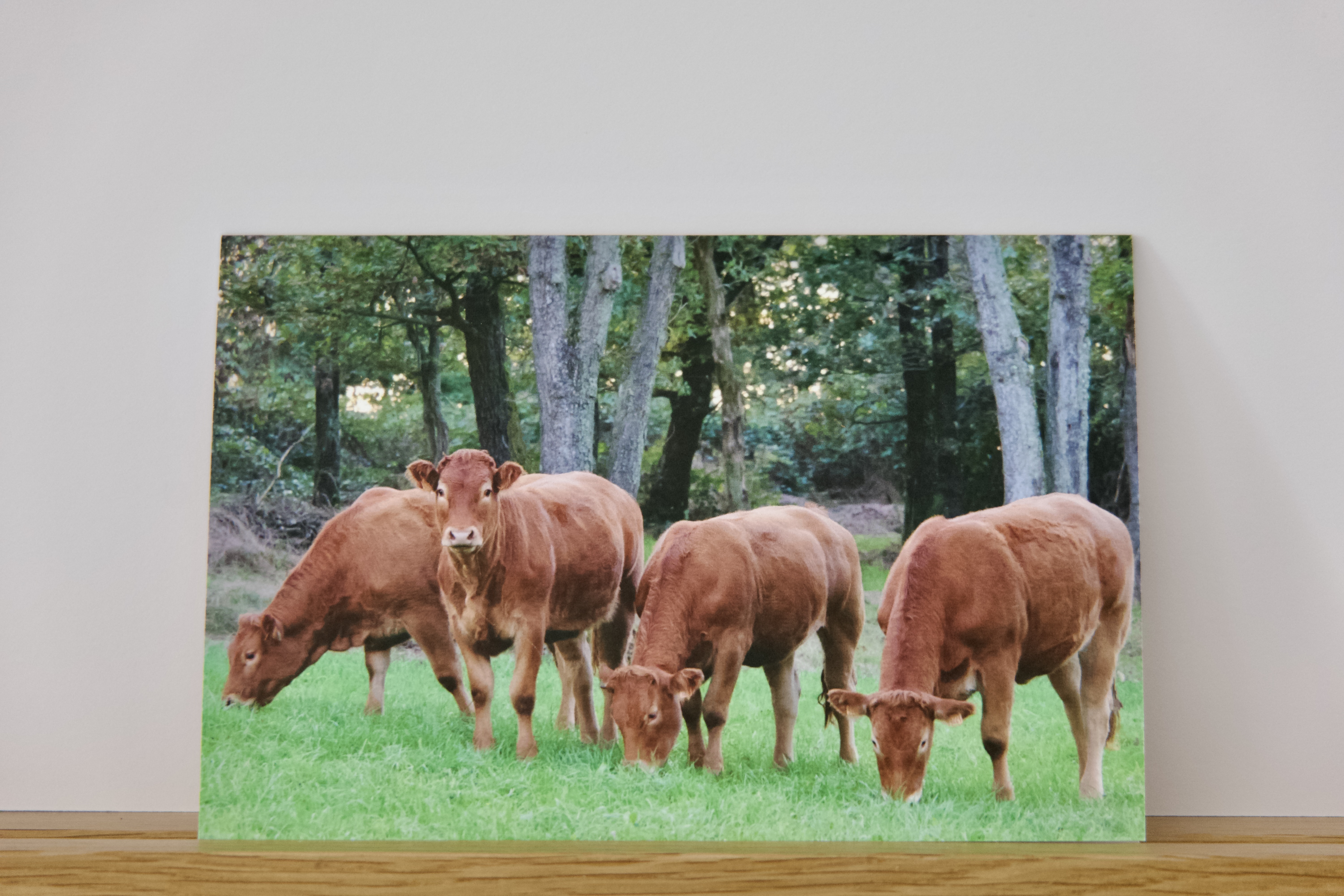 Carte Artistique "La Vache !"