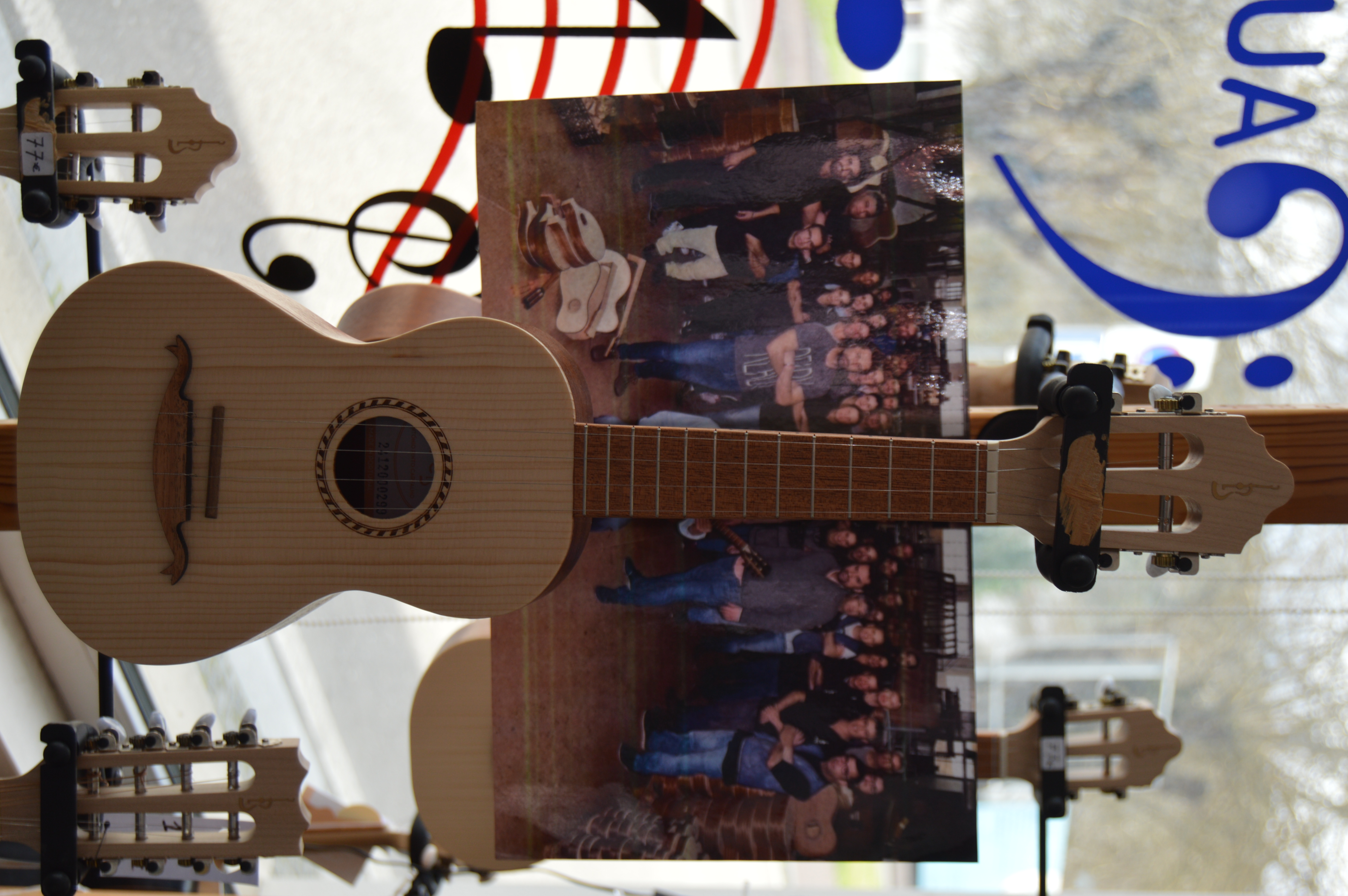Cavaquinho APC