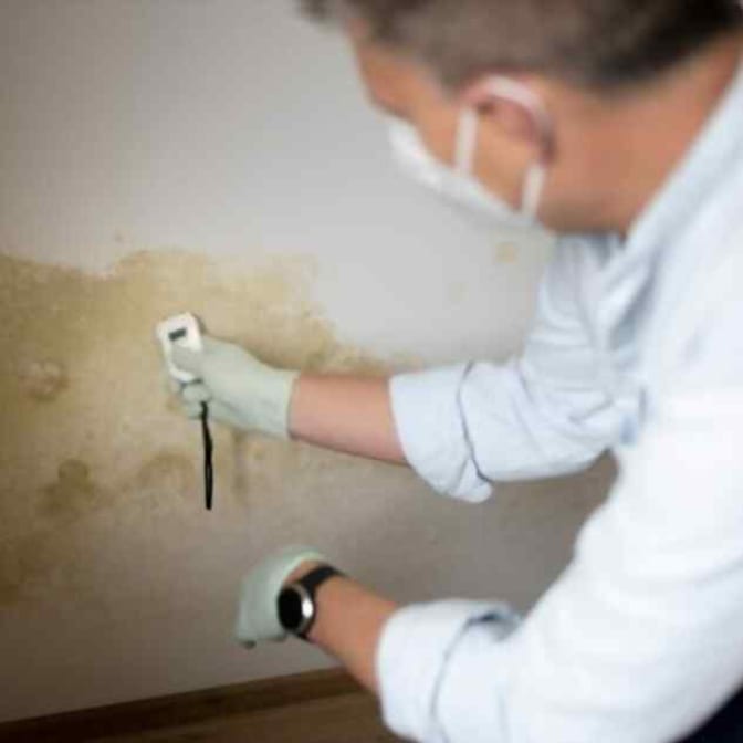 Basic Mold Inspection