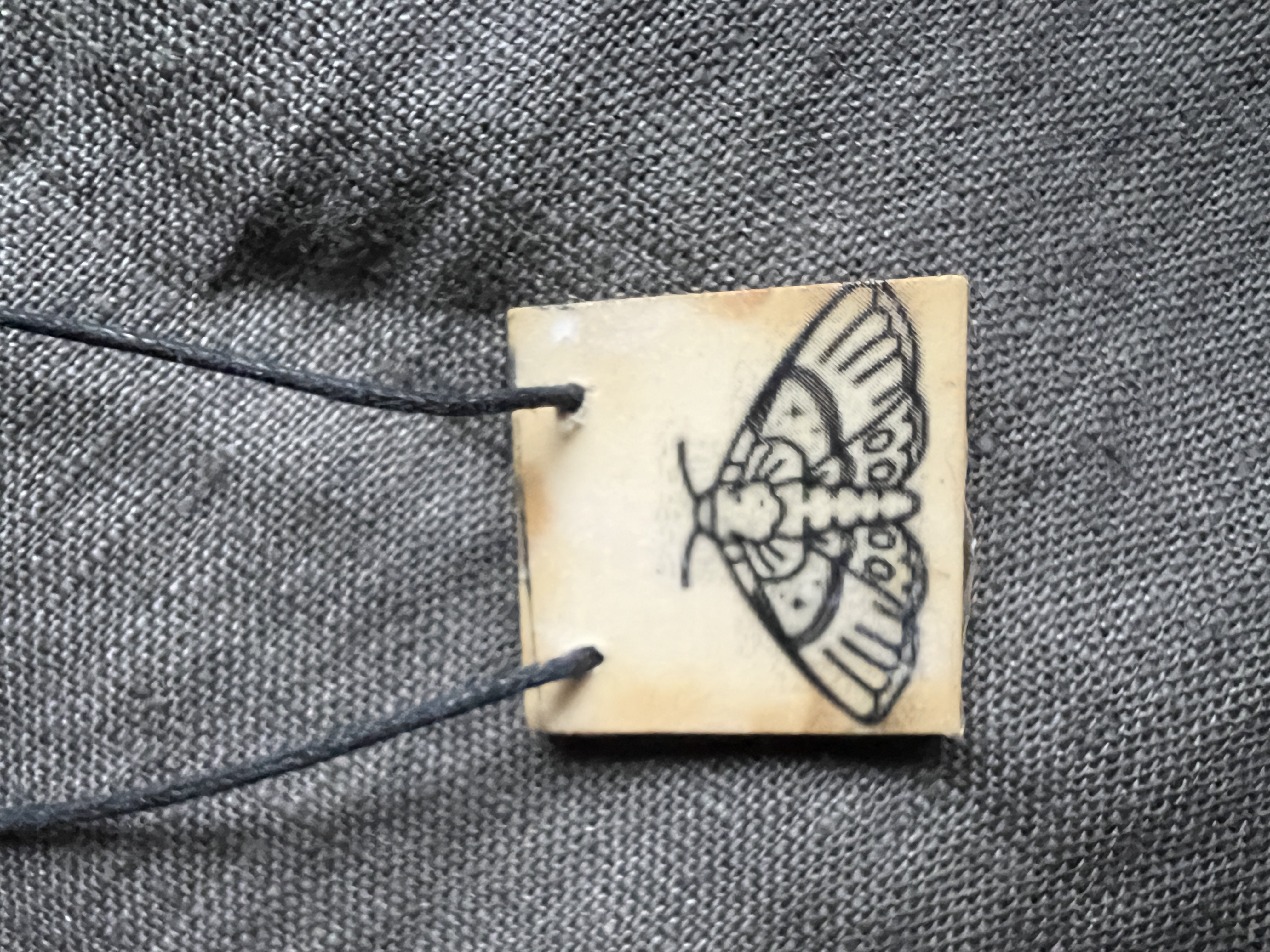 wee moth square