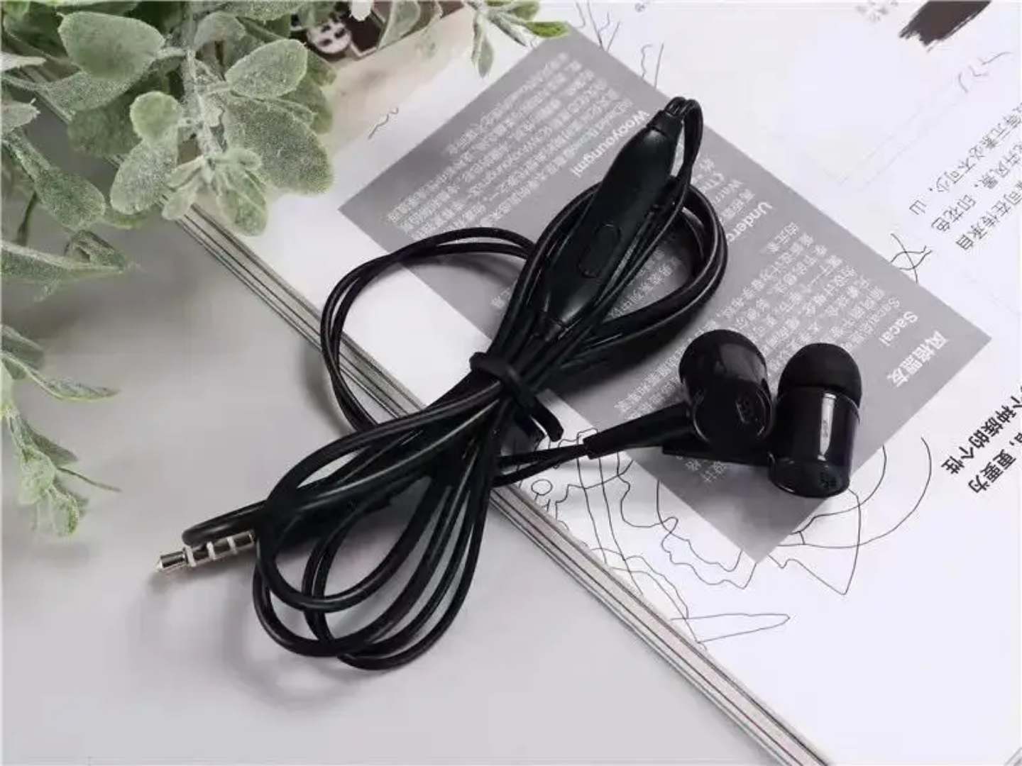 Wired Earbuds