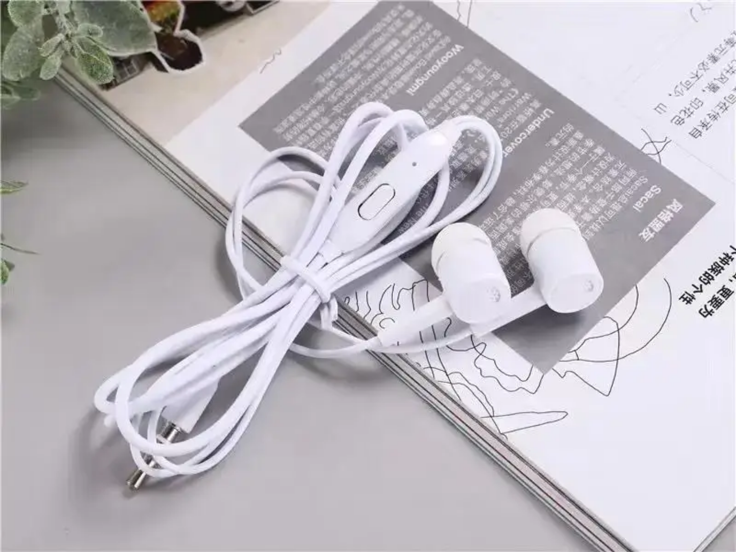 Wired Earphones