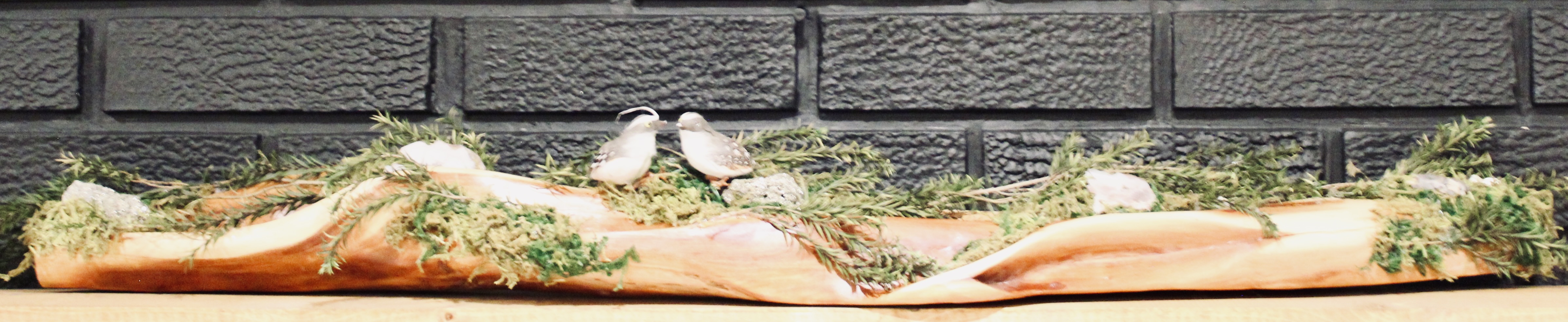 Lovebirds on a Log