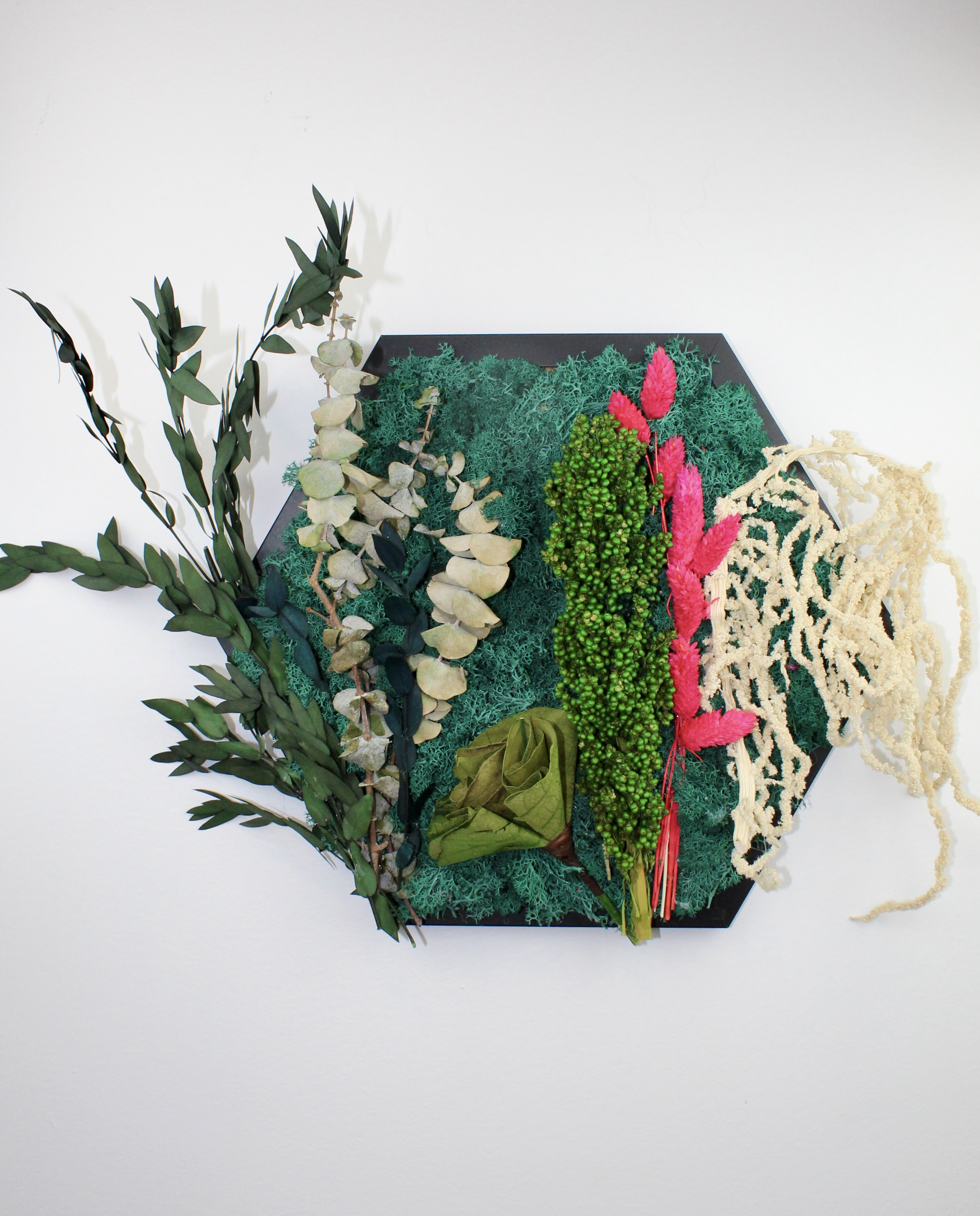 Floral Fusions- Contrasted Life