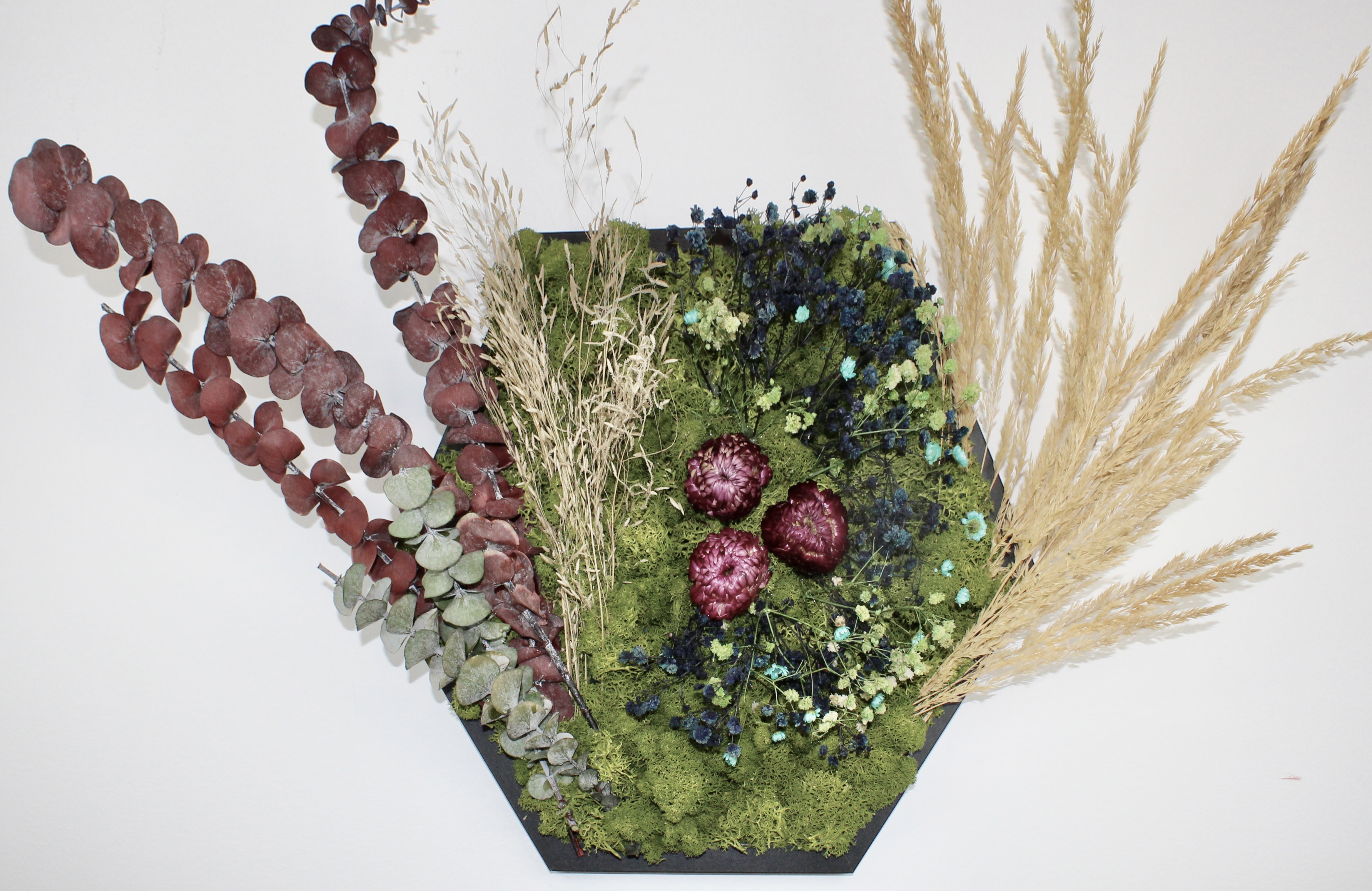 Floral Fusion-Strawflower Meadow