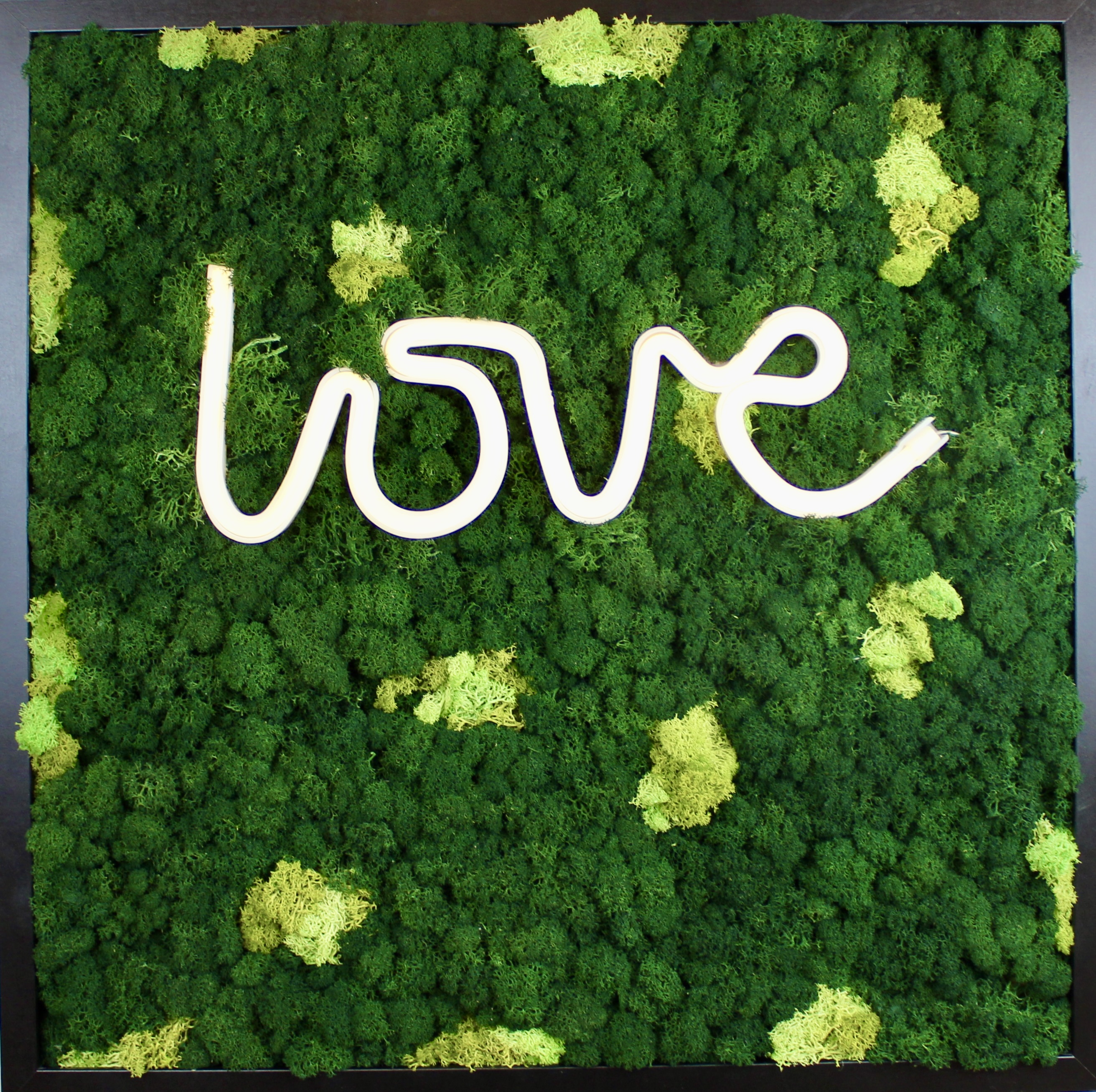 Love is all You Need