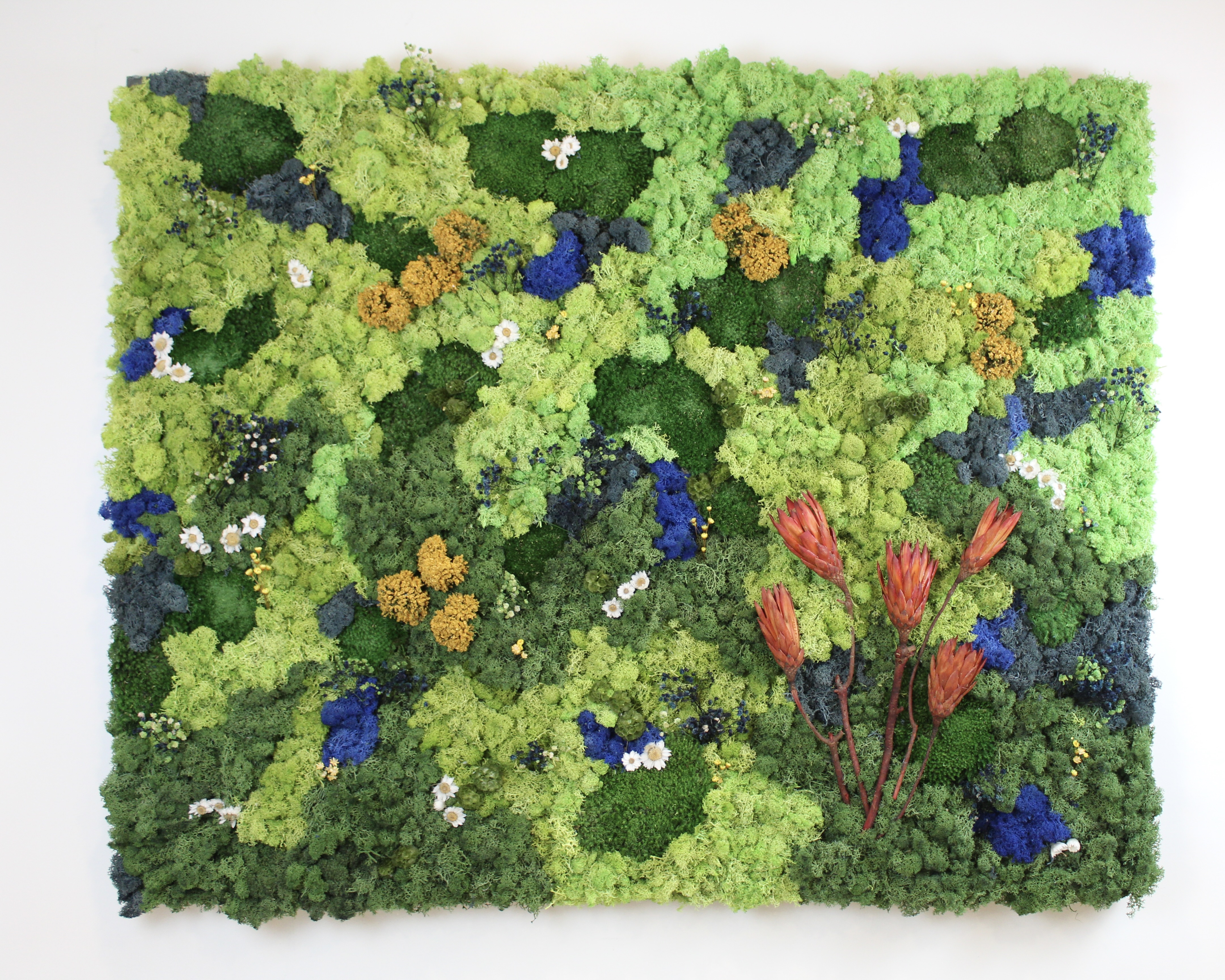 Flowers in the Woods 