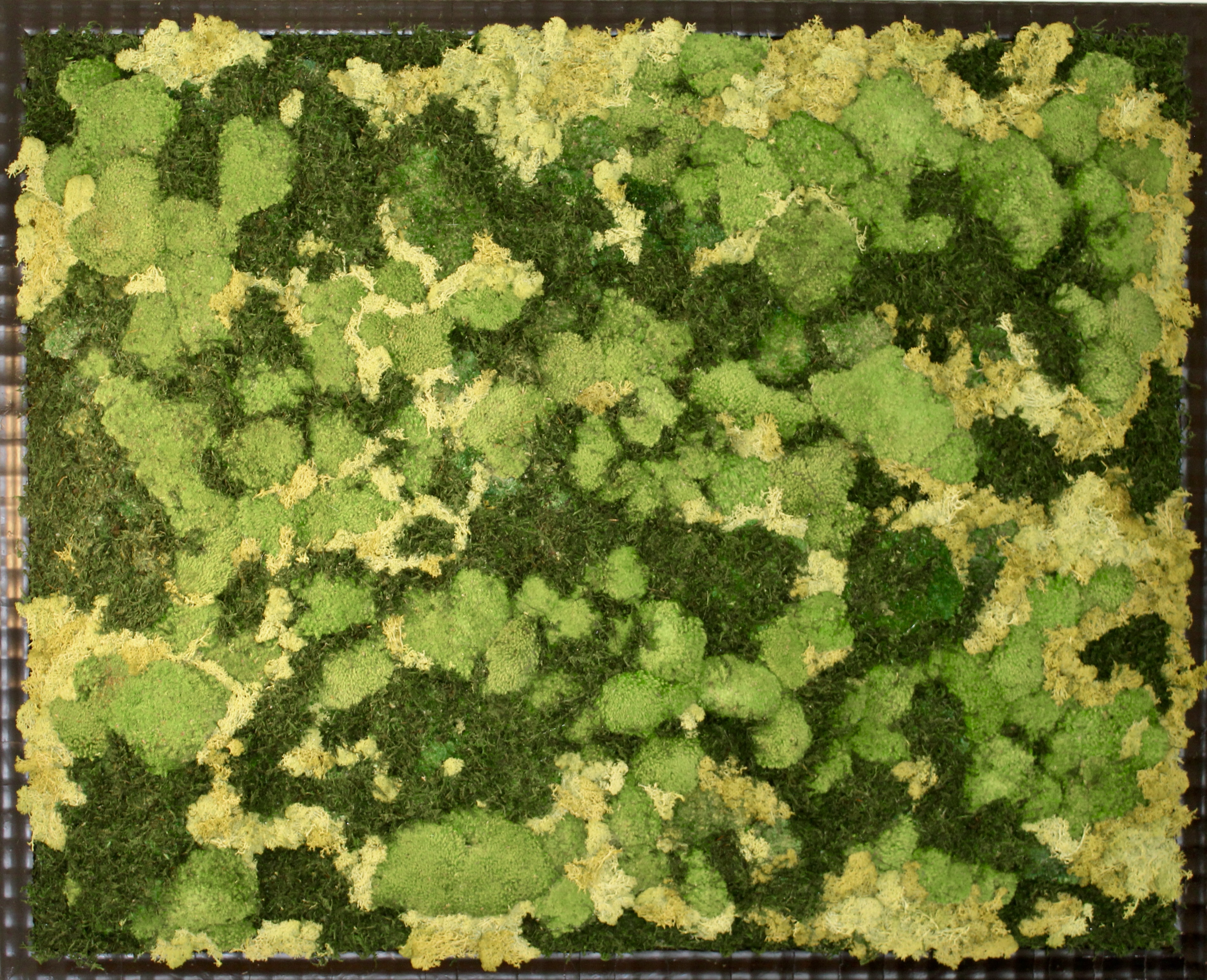 Forest Tapestry
