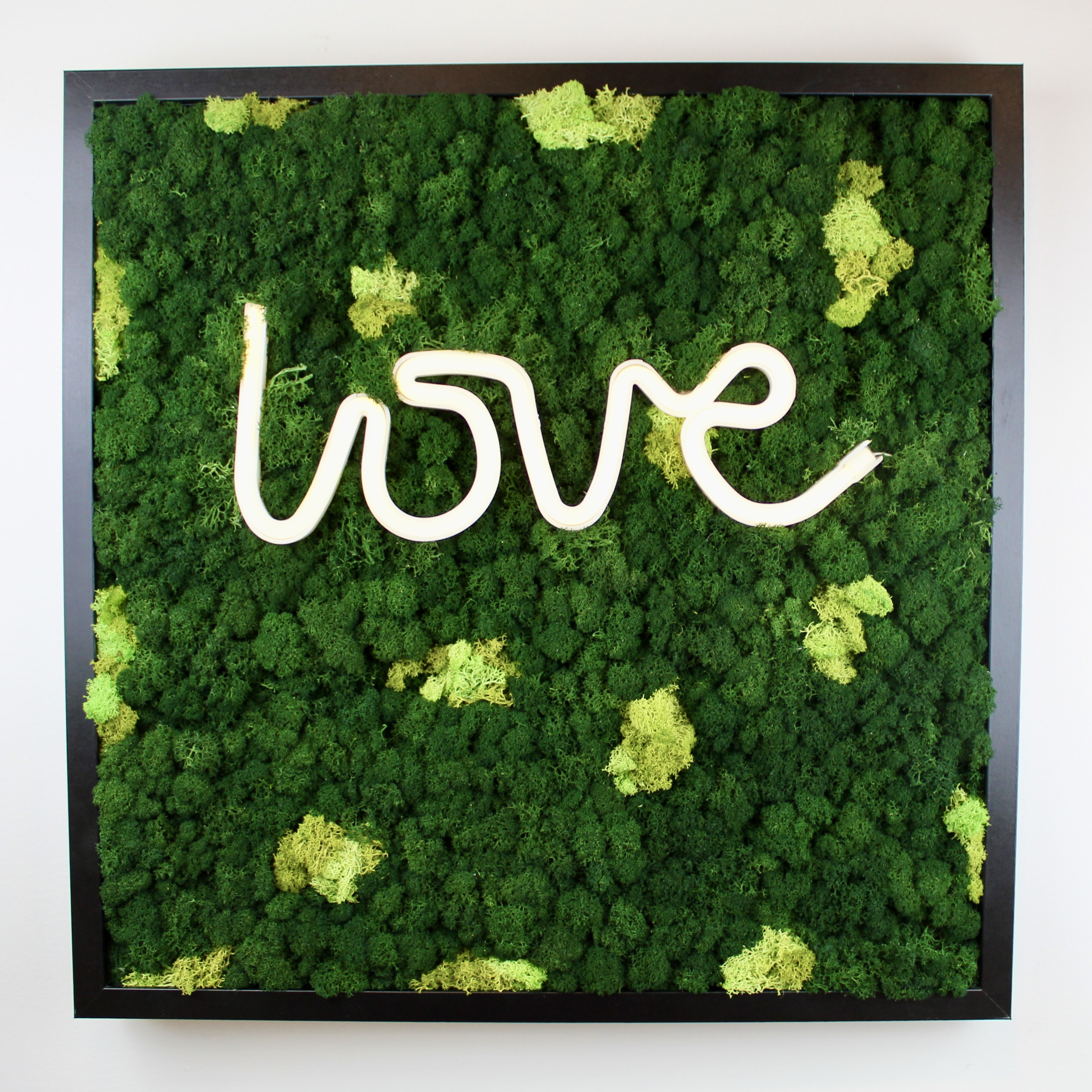 Love is all You Need 