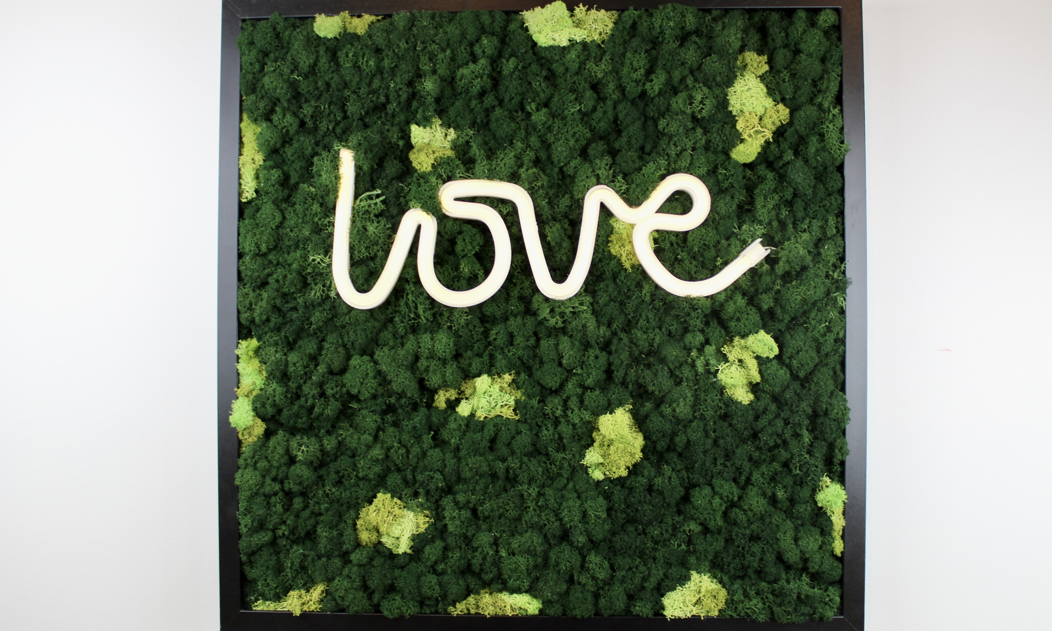 Love is all You Need 