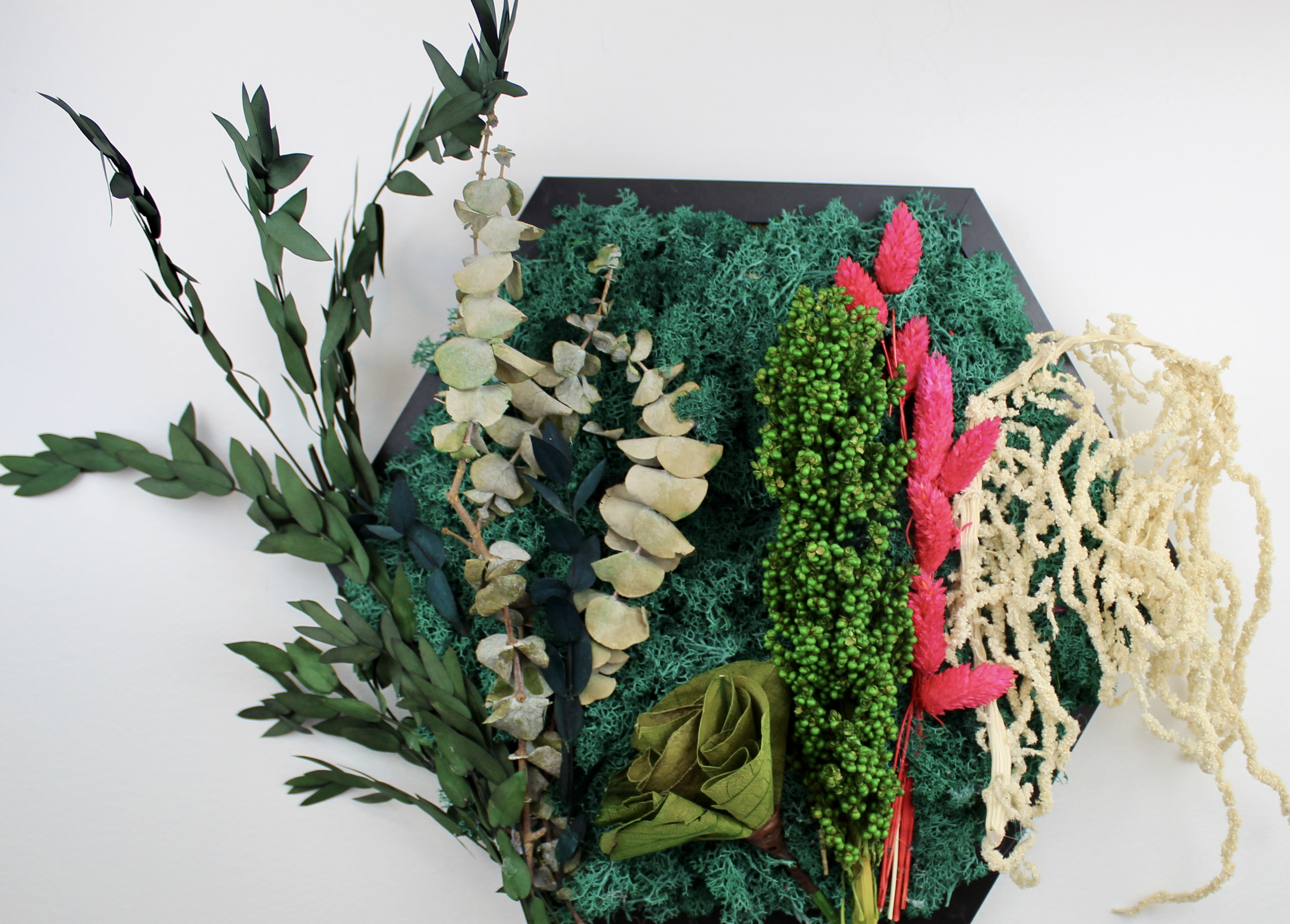 Floral Fusions- Contrasted Life