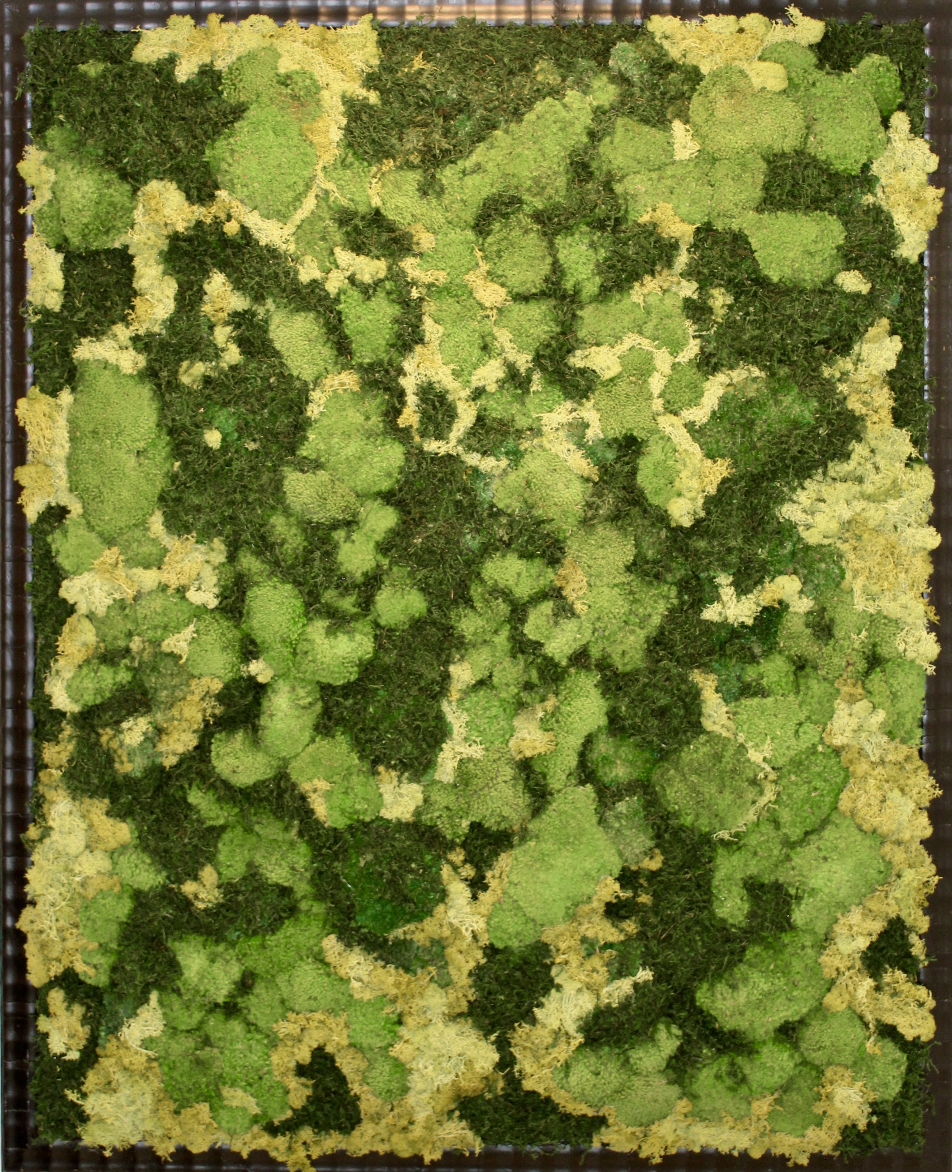 Forest Tapestry