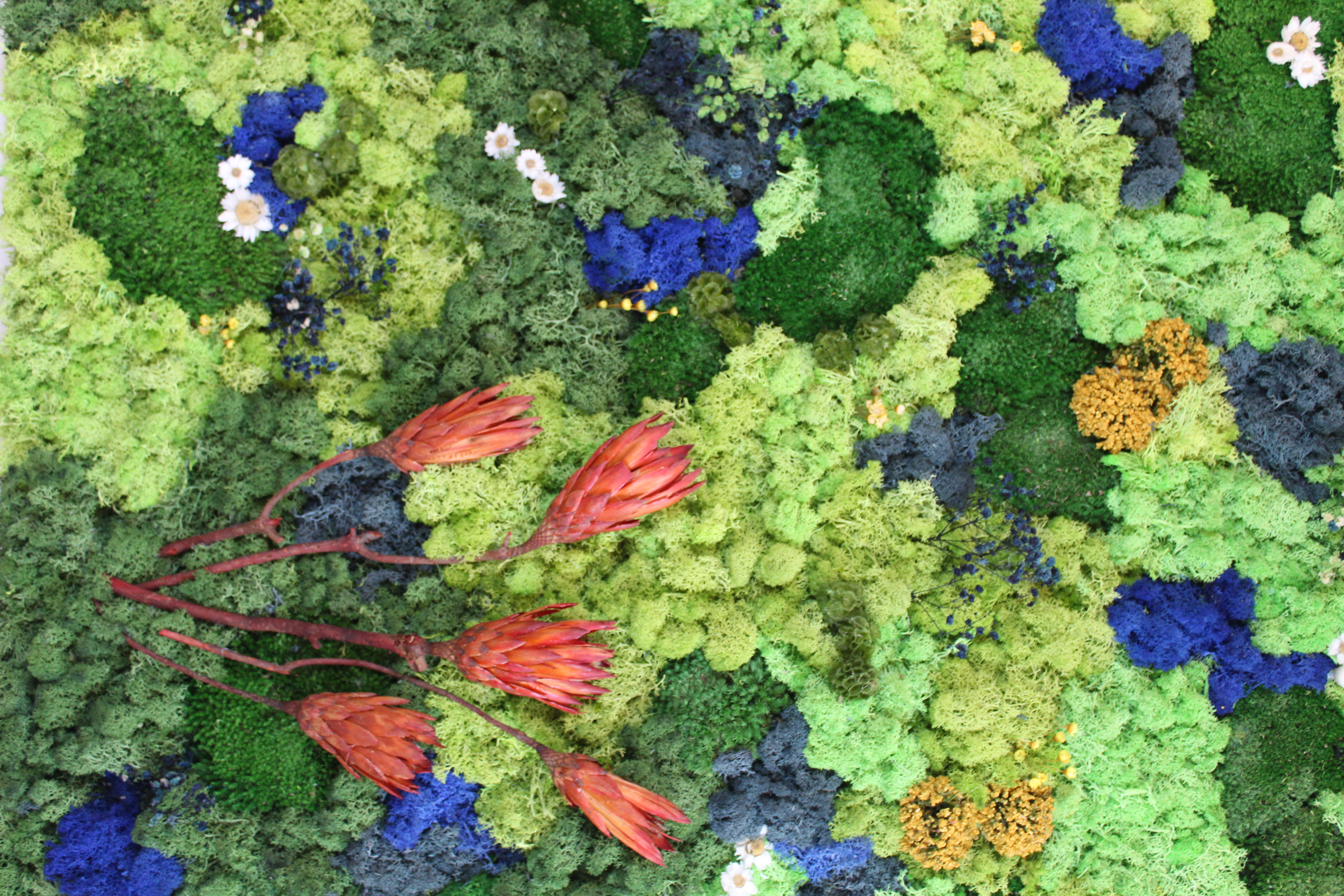 Flowers in the Woods 