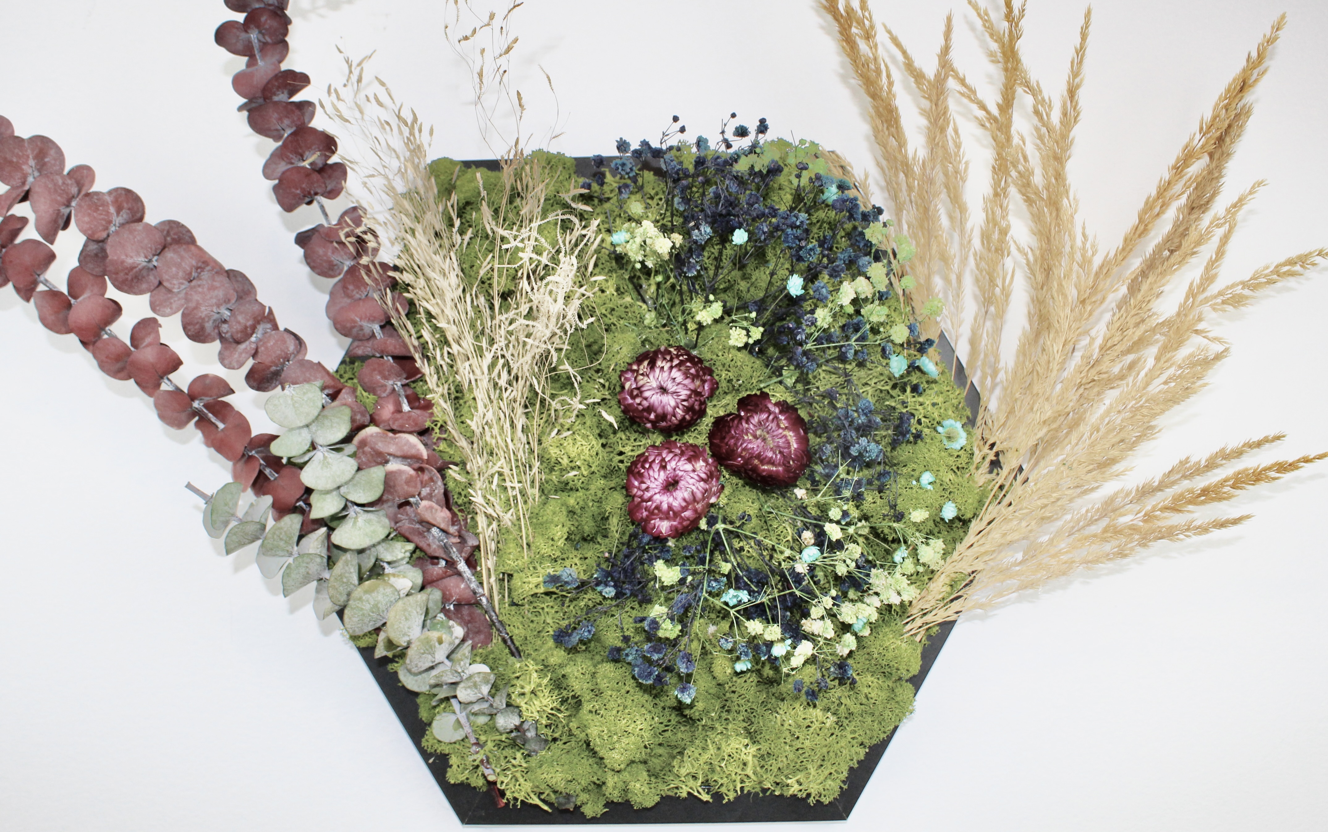 Floral Fusion-Strawflower Meadow