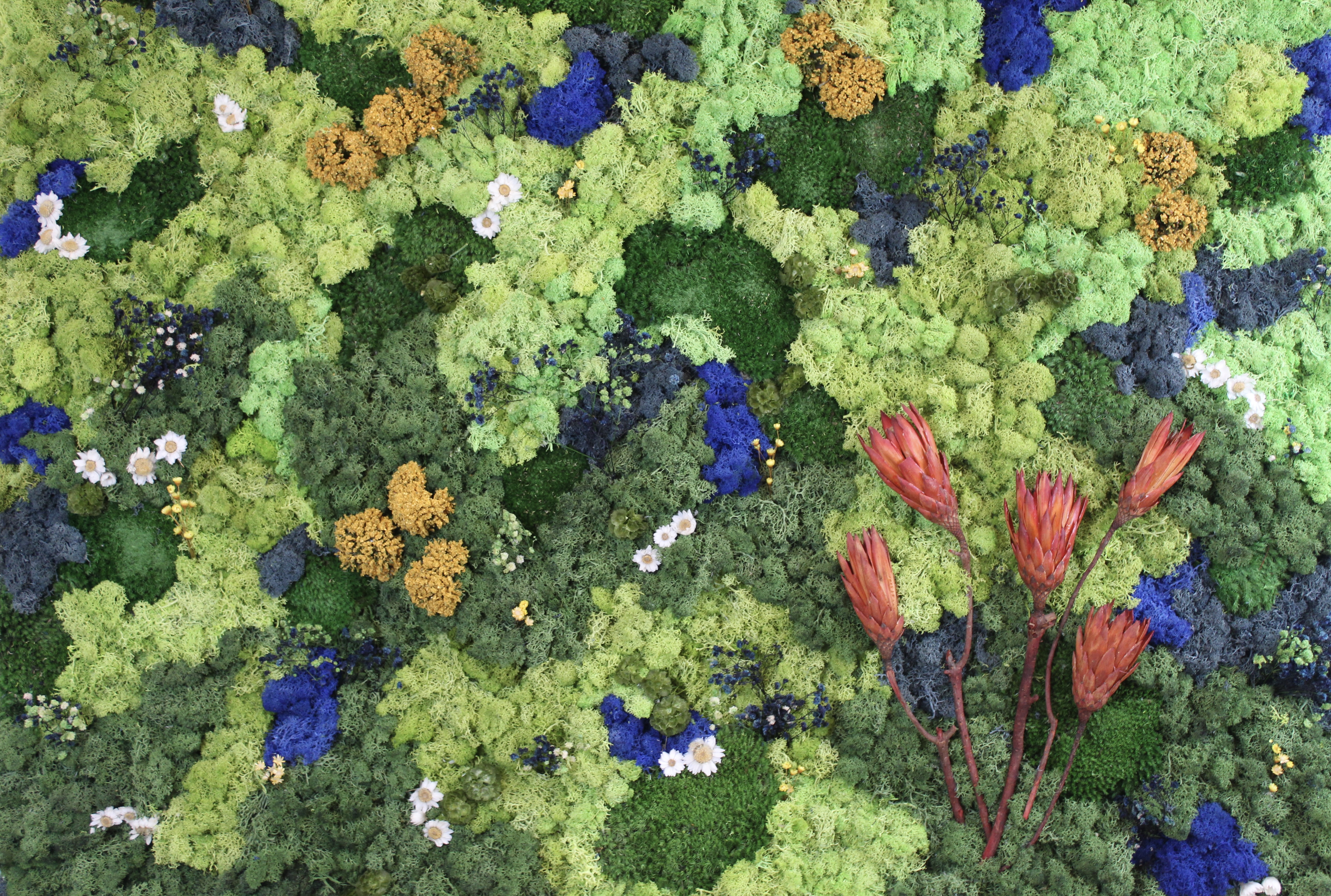 Flowers in the Woods