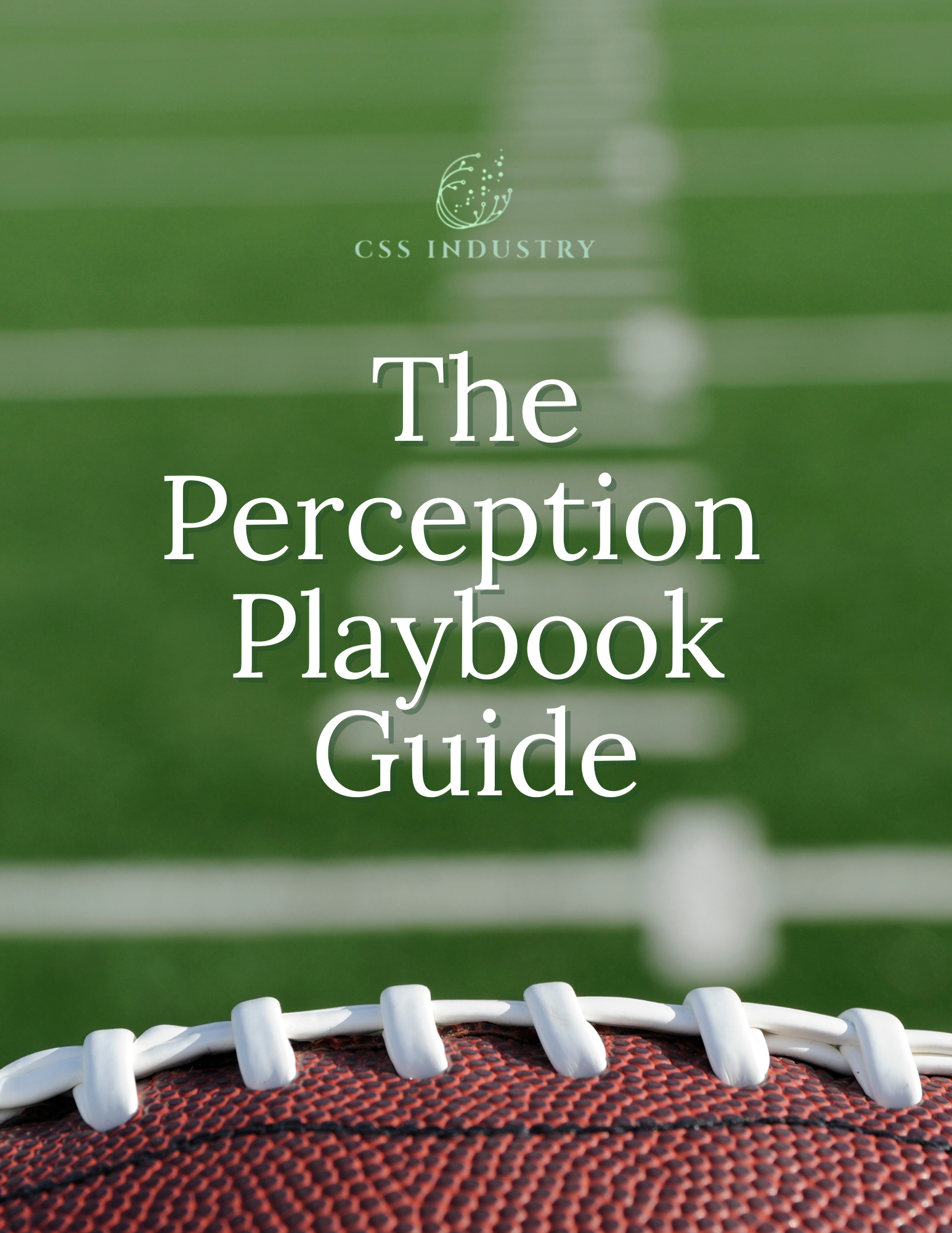 The Perception Playbook Guide