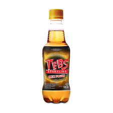 Tebs Sparkling Mix Fruit 300ml