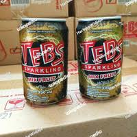 Tebs Sparkling Mix Fruit Kaleng 330ml