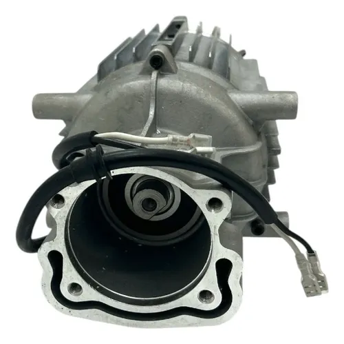 Motor Elétrico de Indução 220V FW006985