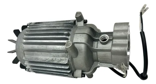 Motor Elétrico de Indução 220V FW006985